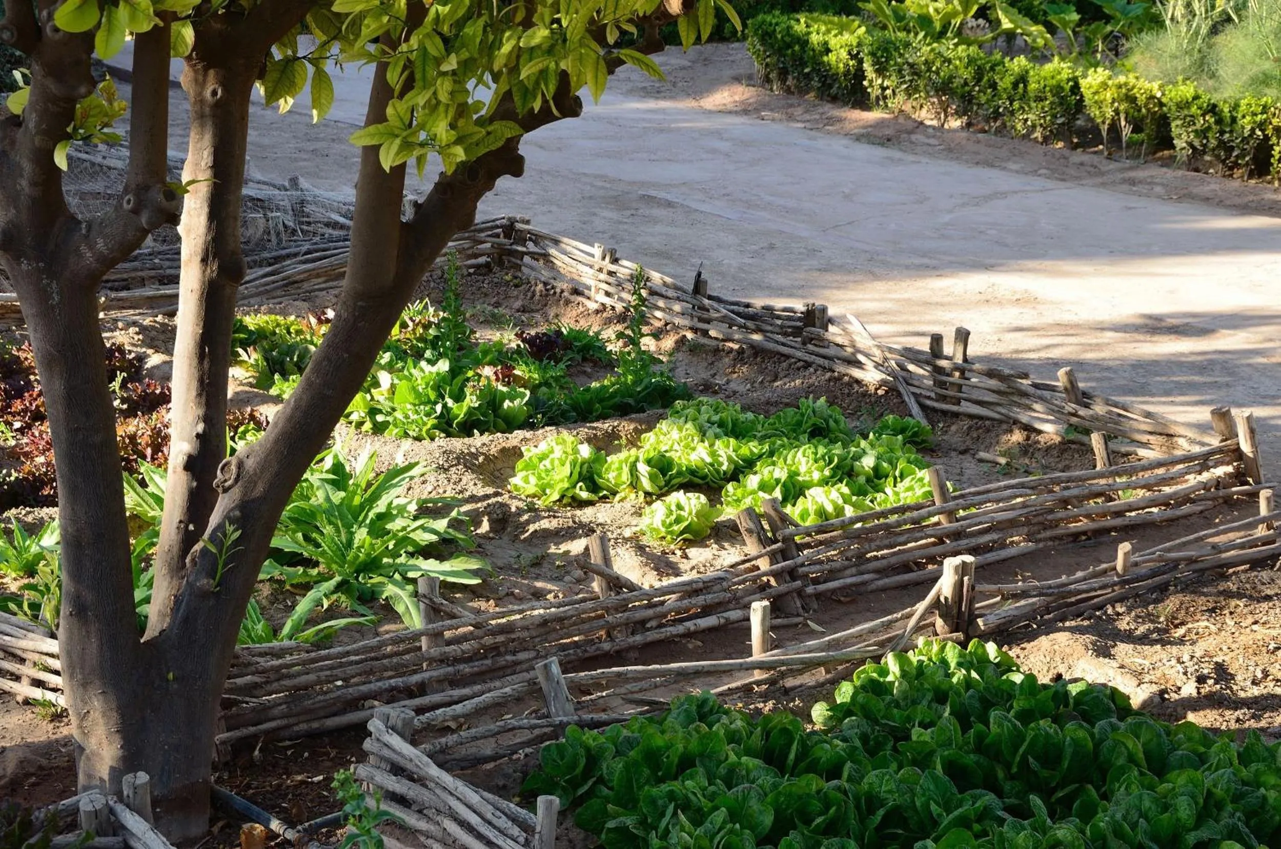 Decorative detail in Ksar Char-Bagh Small Luxury Hotels