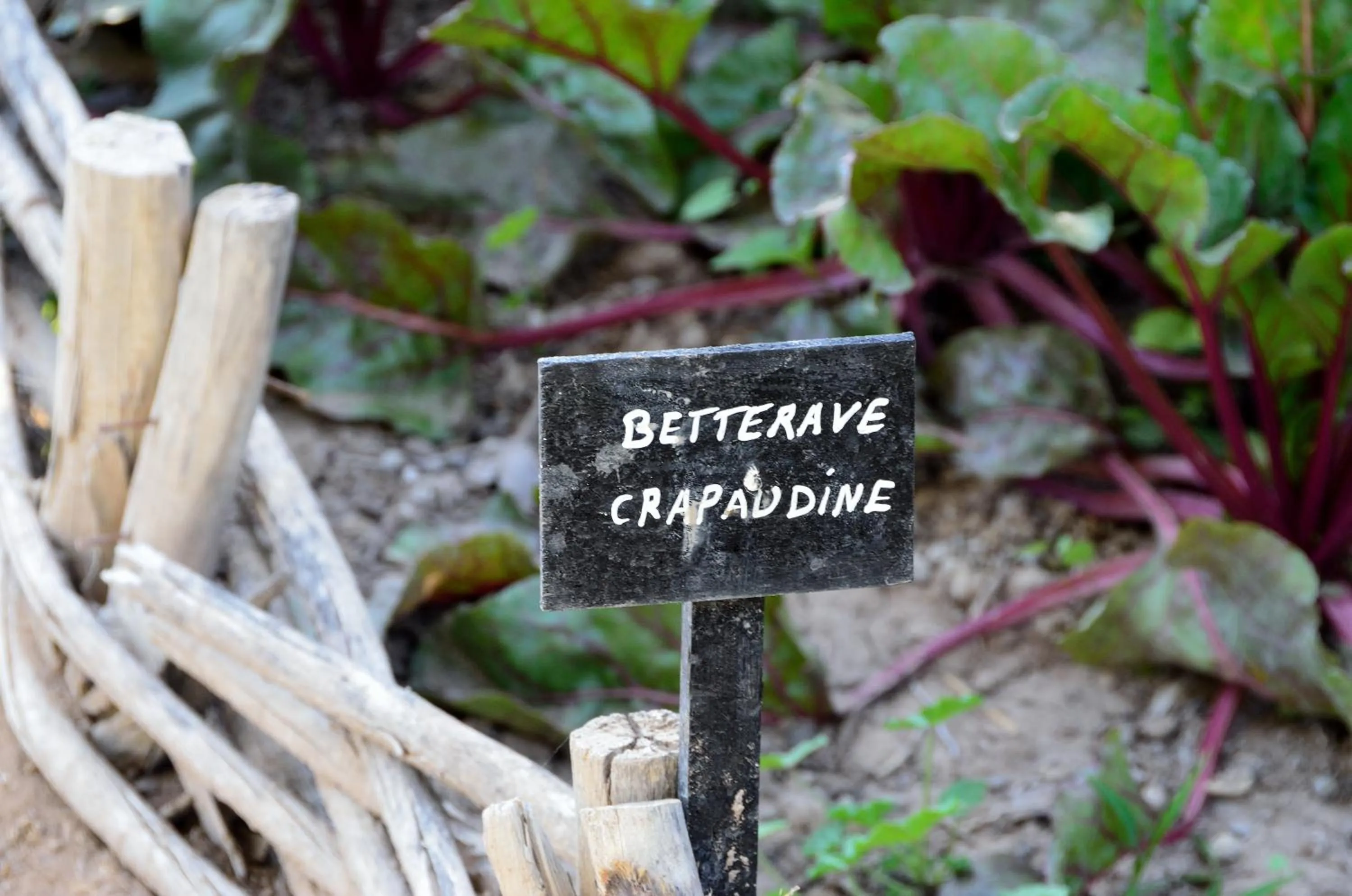 Text overlay in Ksar Char-Bagh Small Luxury Hotels