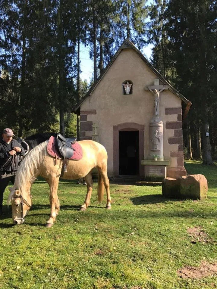 Horse-riding in Villa Maria