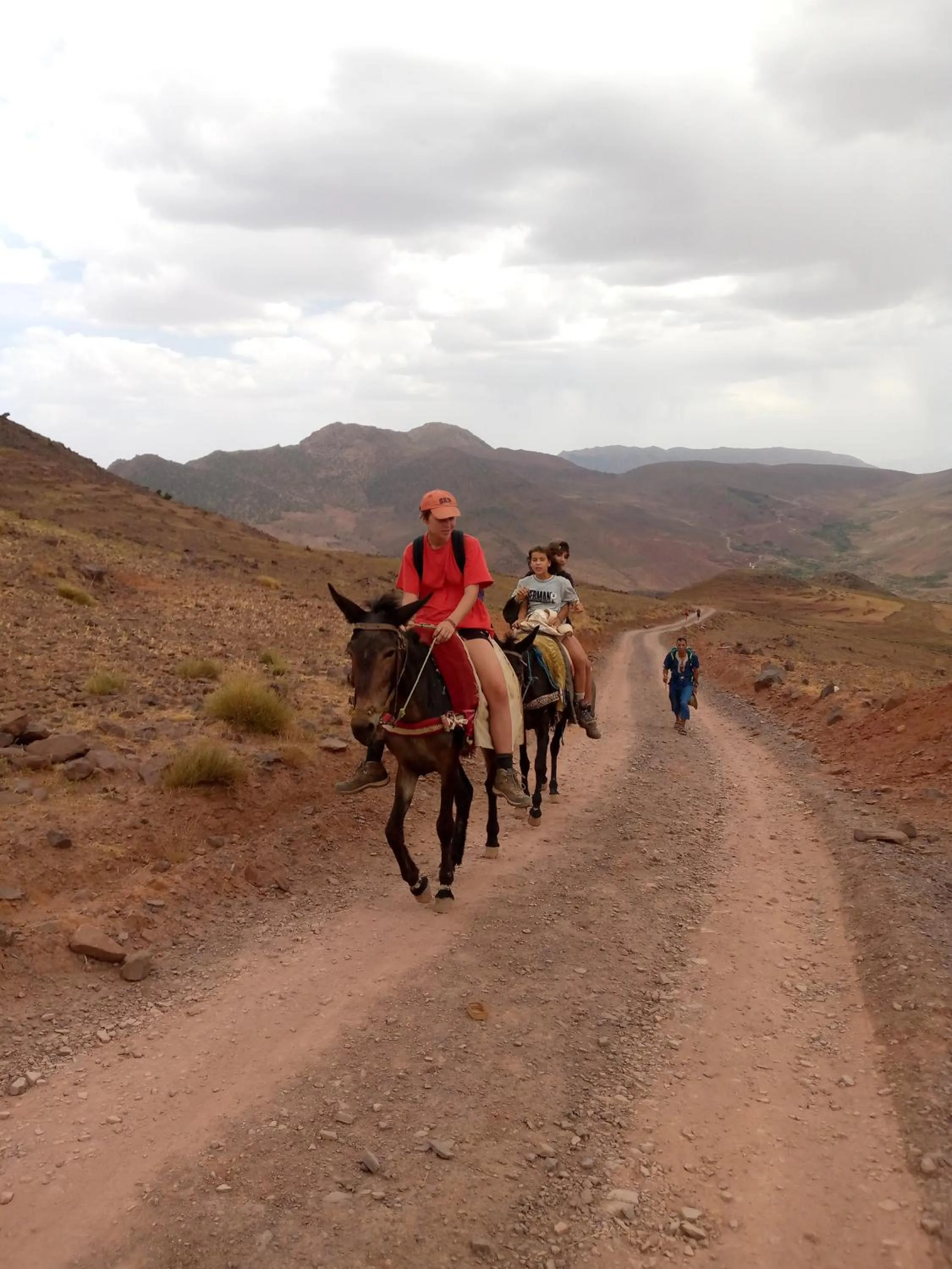 Auberge Restaurant Les Coquelicots