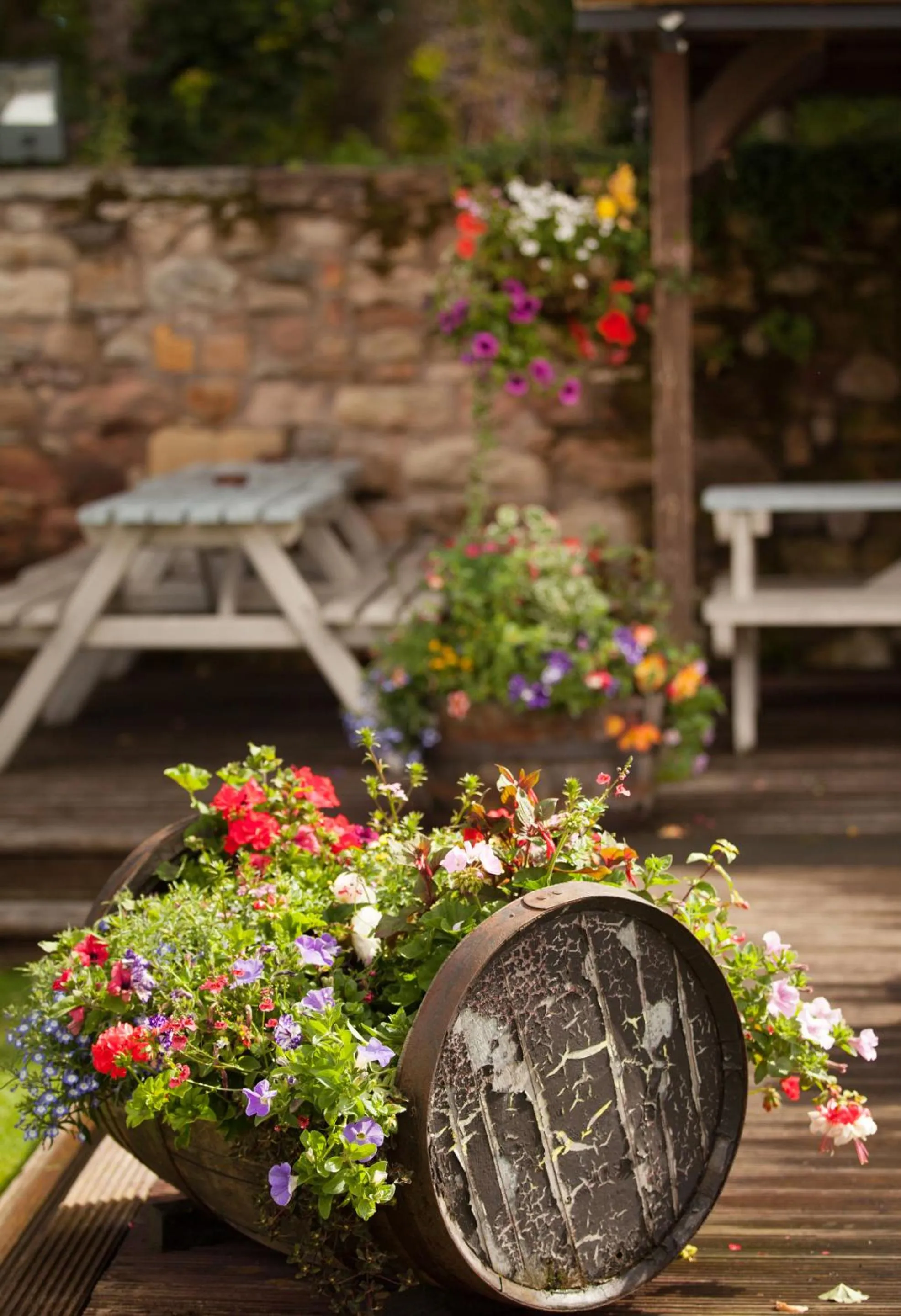 Property building in The Craster Arms Hotel in Beadnell