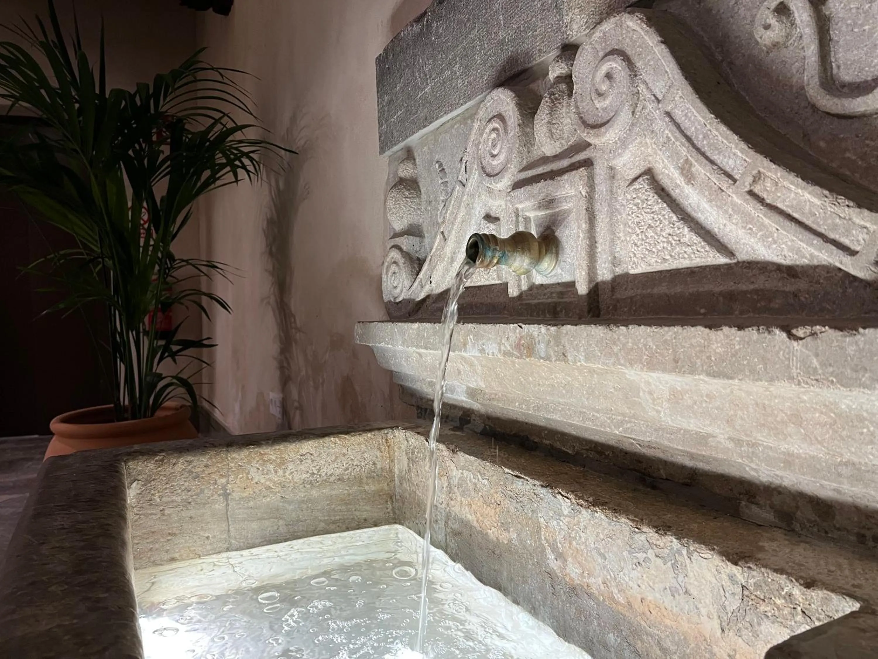 Patio in Hotel Mercader de Sedas by Maxi Hoteles