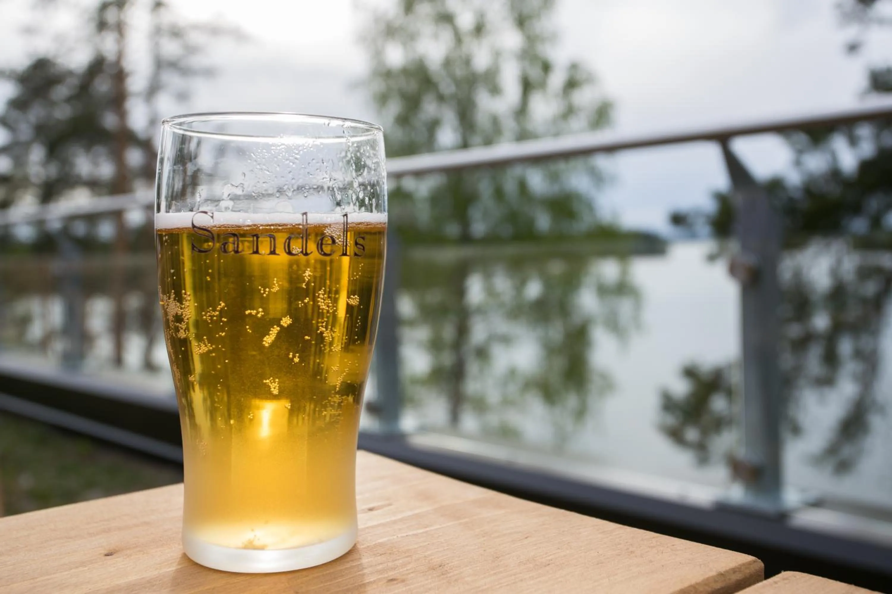 Day in Hotelli Salpa