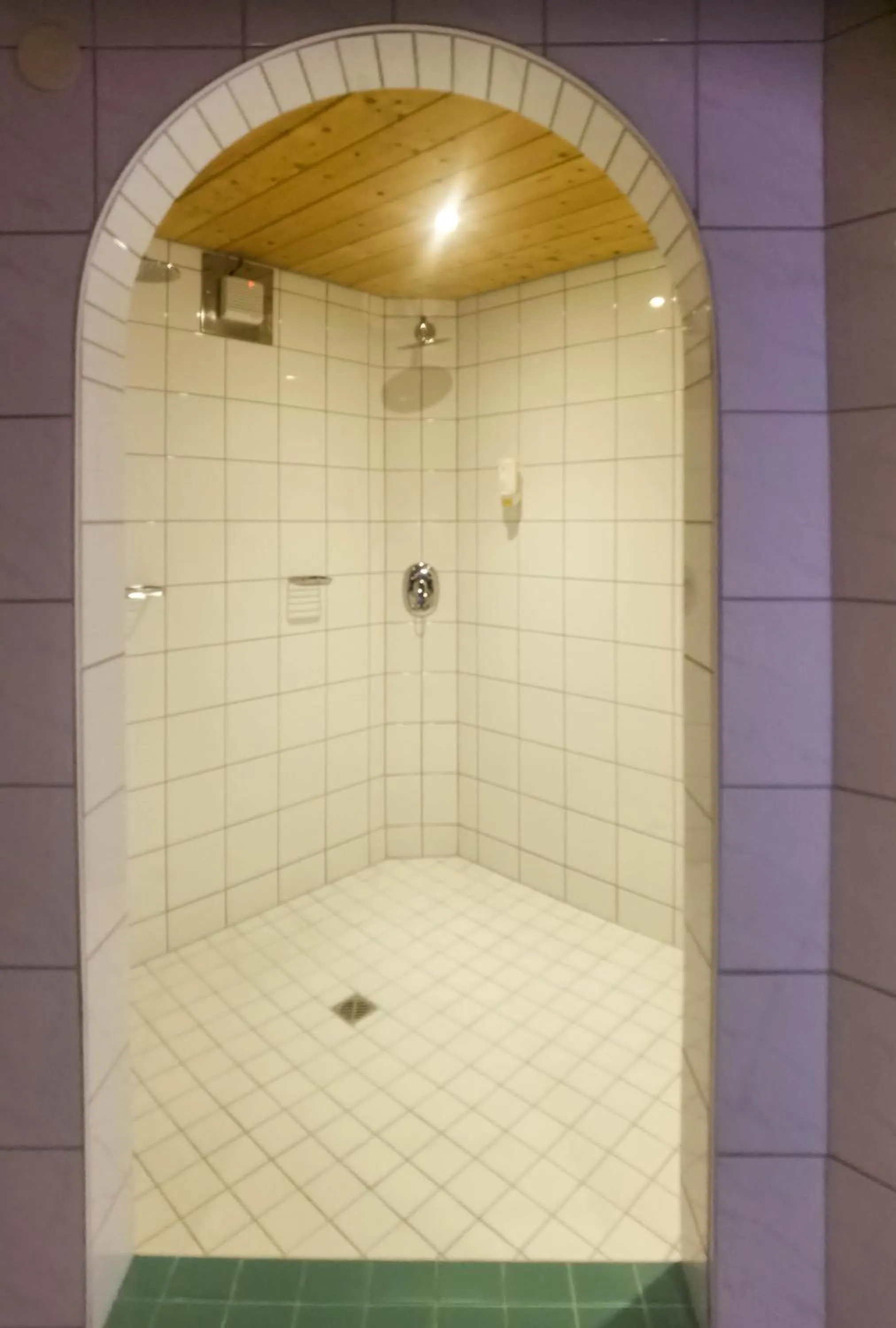 Sauna in Hotel Landhaus Zell am See