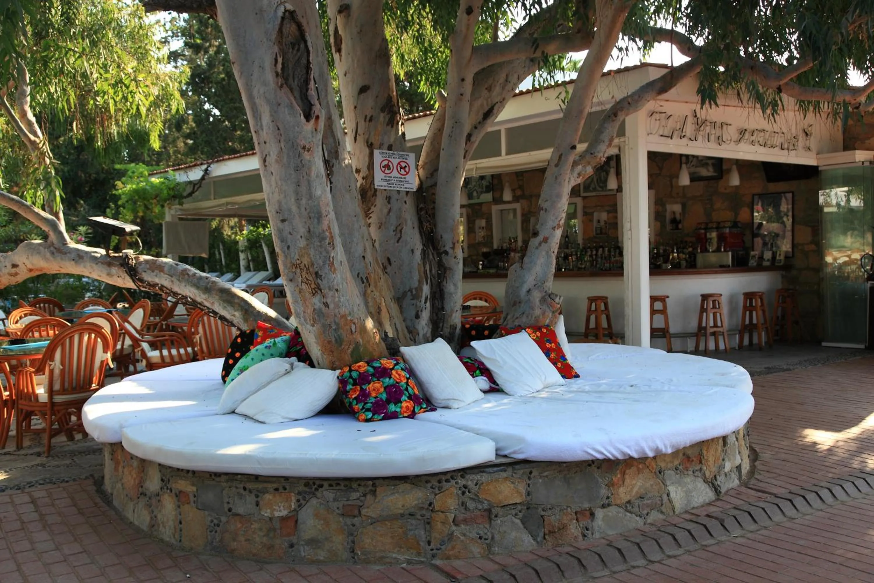 Facade/entrance in Okaliptus Otel