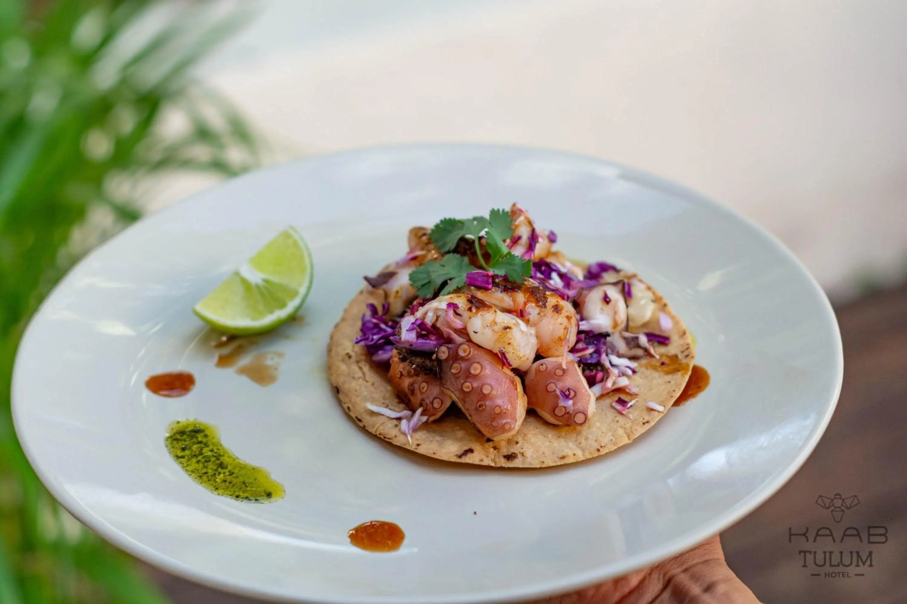 Food and drinks in Kaab Tulum