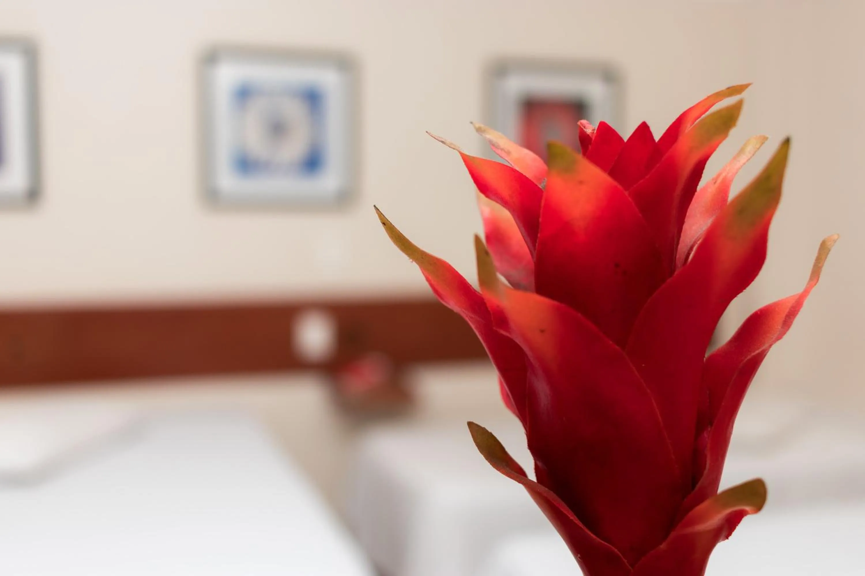 Bed in Turis Hotel Centro