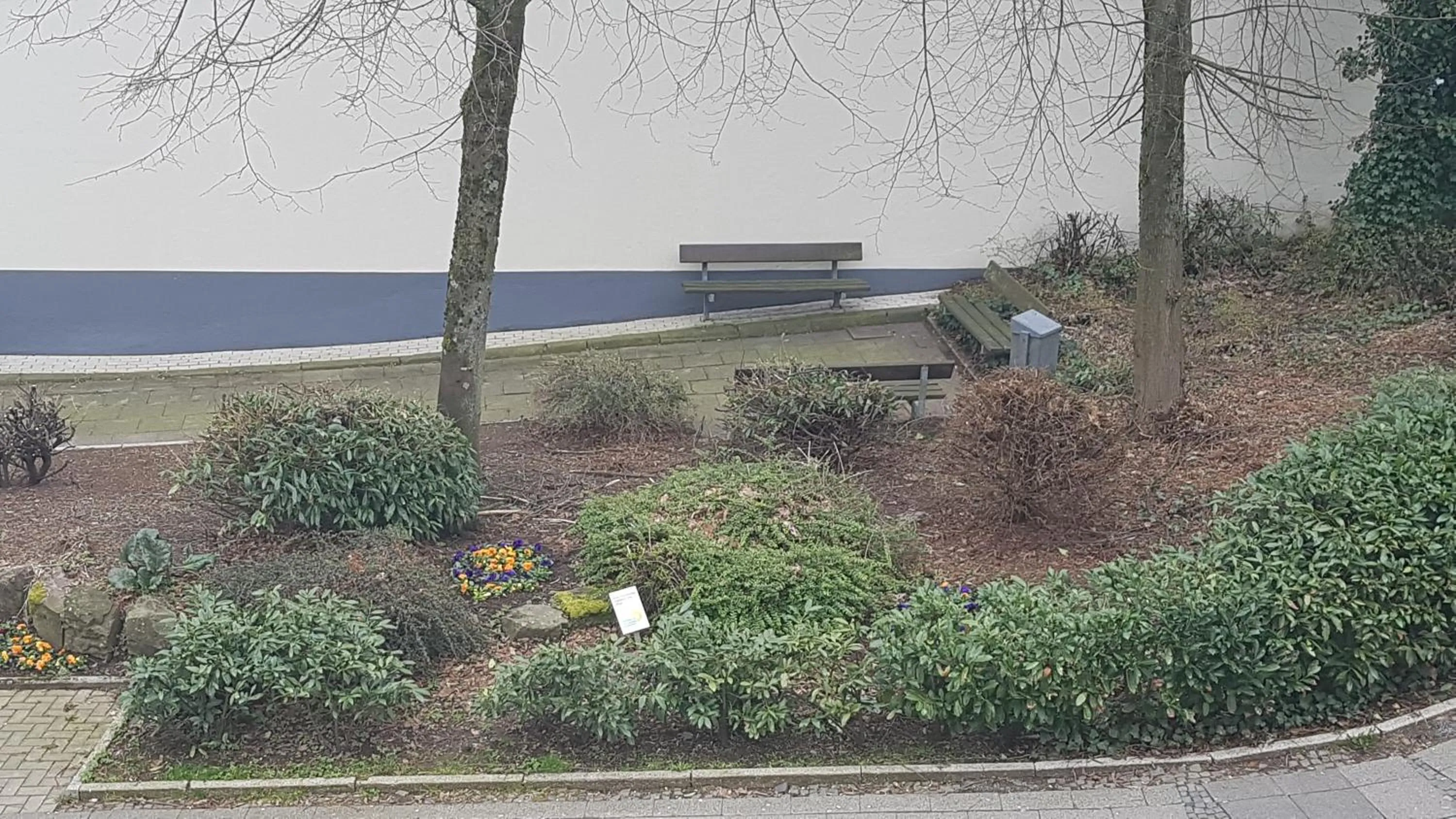 Garden in Schillers Hotel & Café - GARNI -