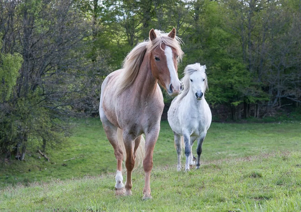 Hunseröds Bed & Breakfast