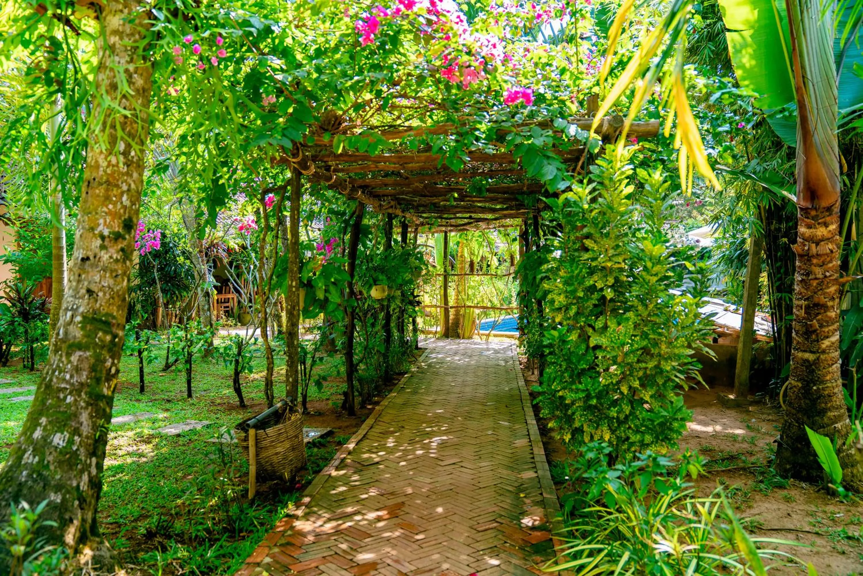 Garden view in La Mer Resort, Phú Quốc