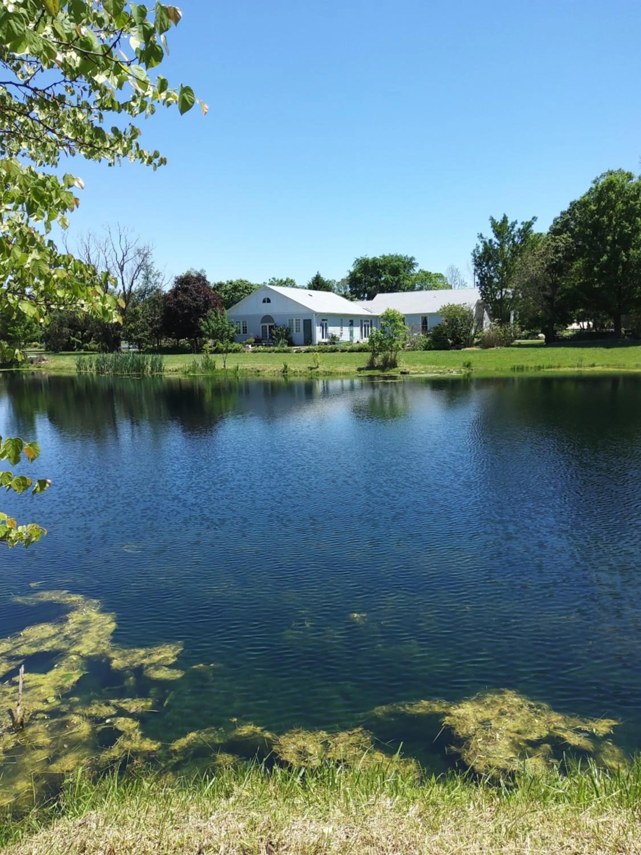 Garden in Inntiquity, A Country Inn