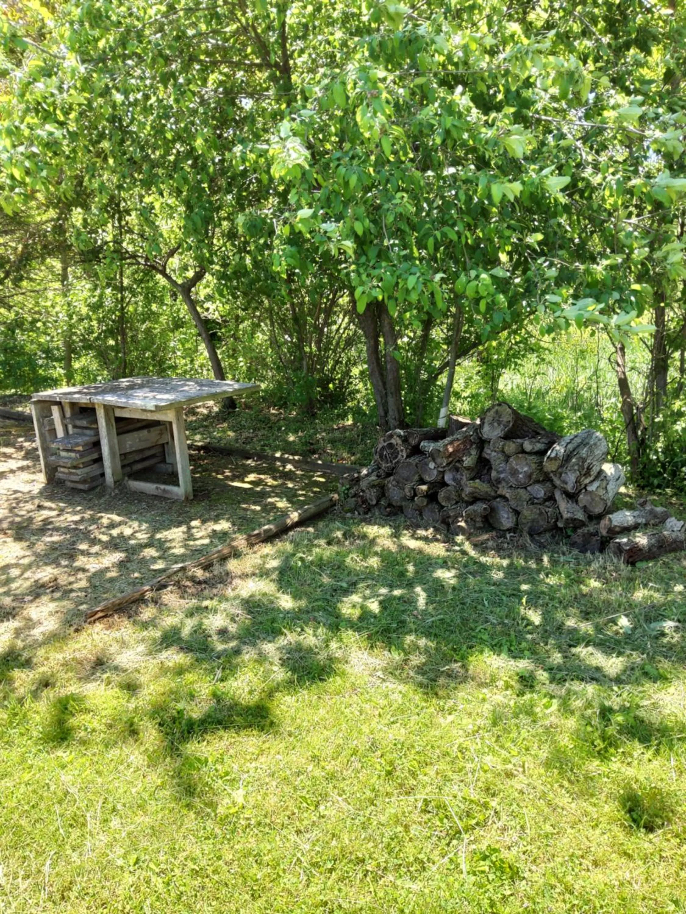 Garden in Inntiquity, A Country Inn