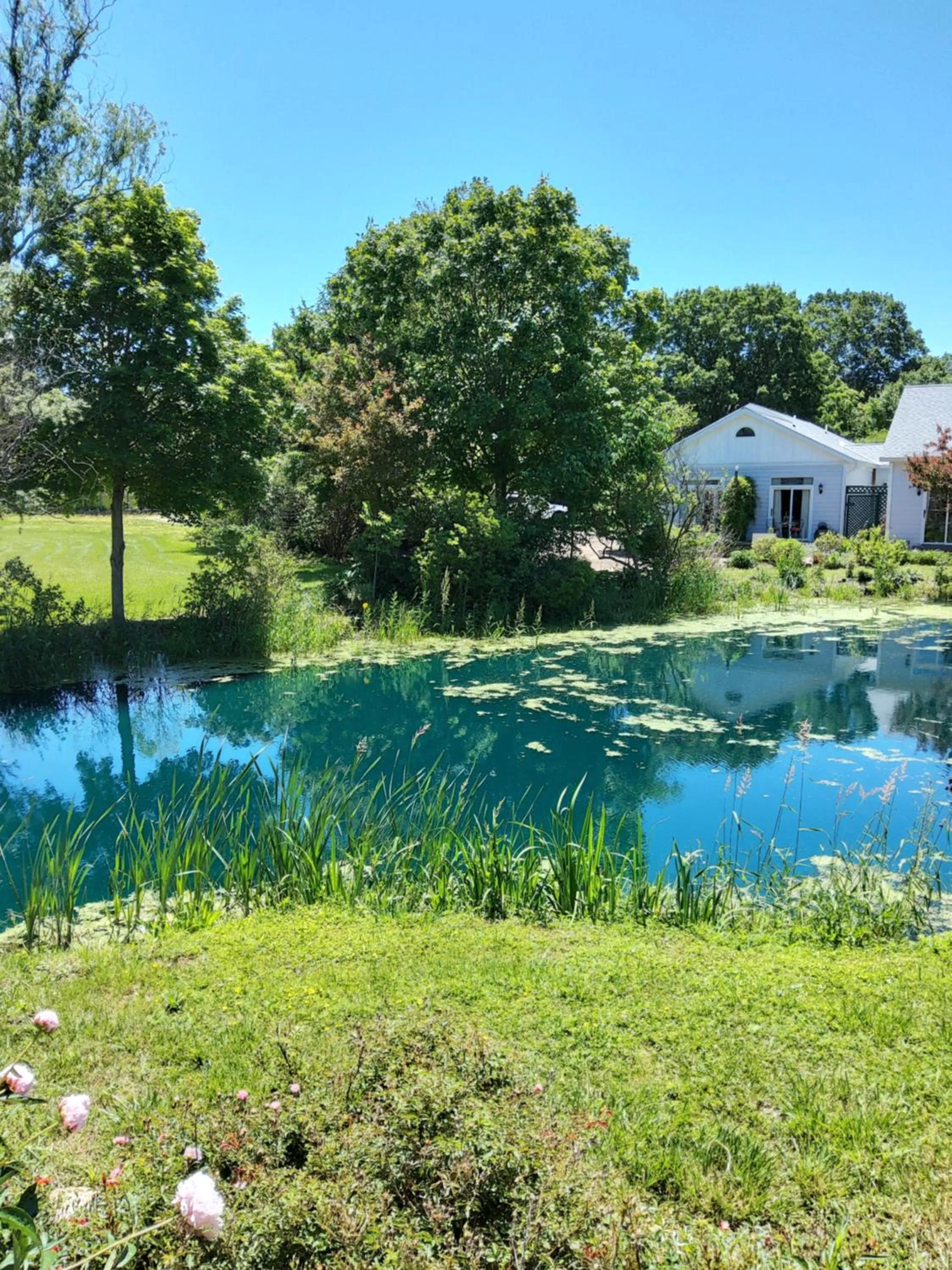 Garden in Inntiquity, A Country Inn