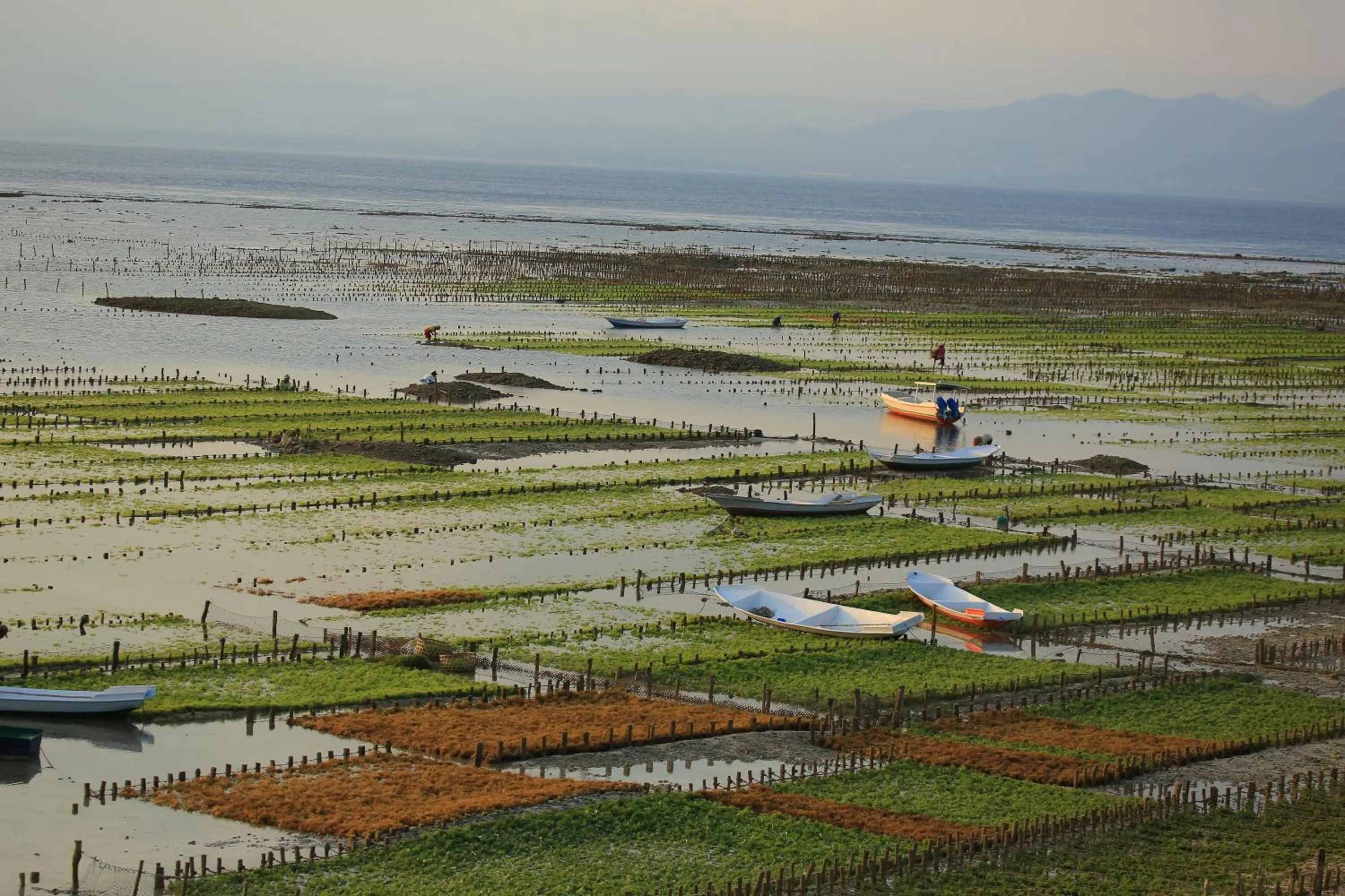 3 Monkeys Lembongan Studio apartments gym recovery centre