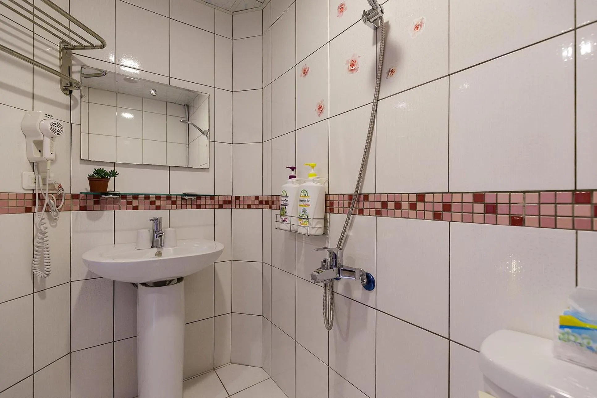 Shower in Yi Jing BnB