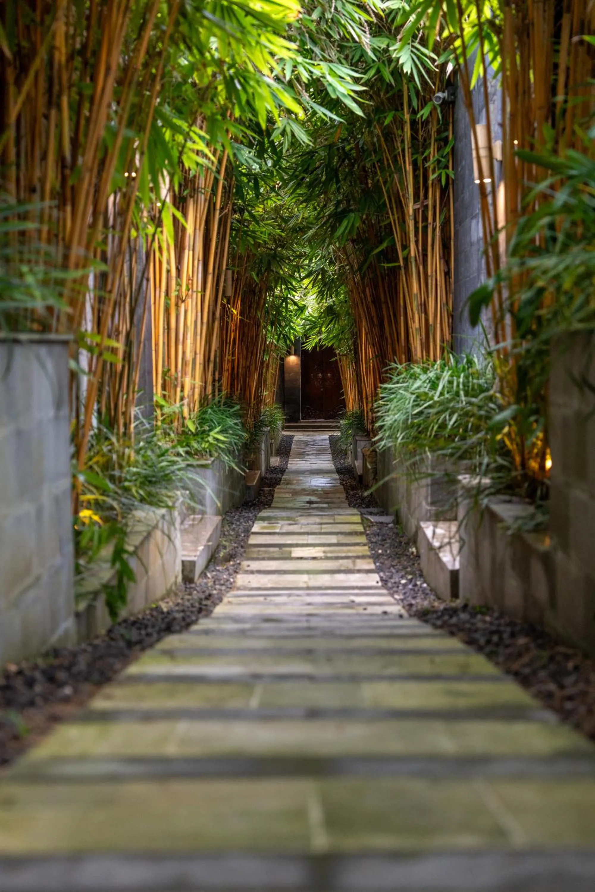 Property building in La Paradis Villa