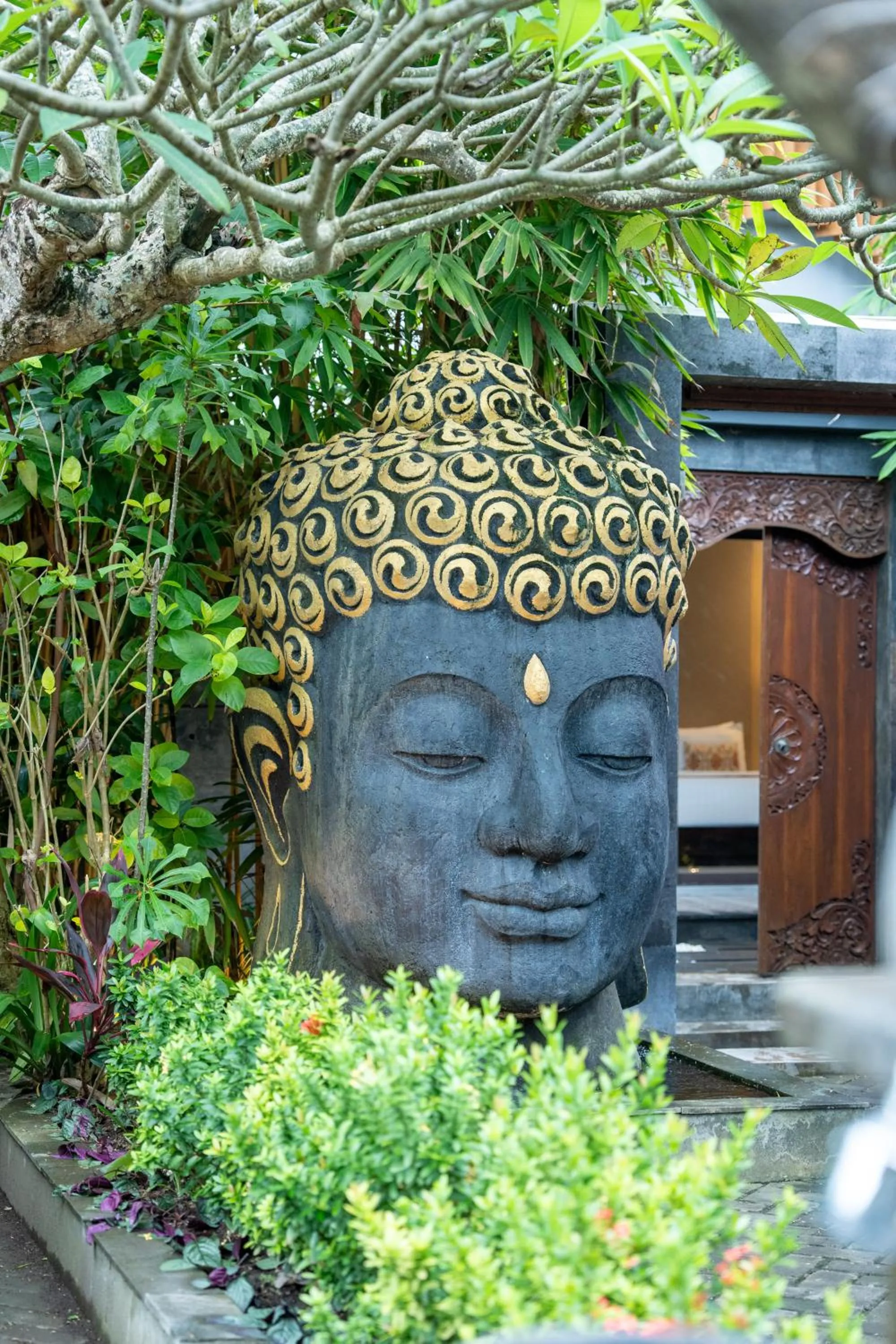 Garden in La Paradis Villa