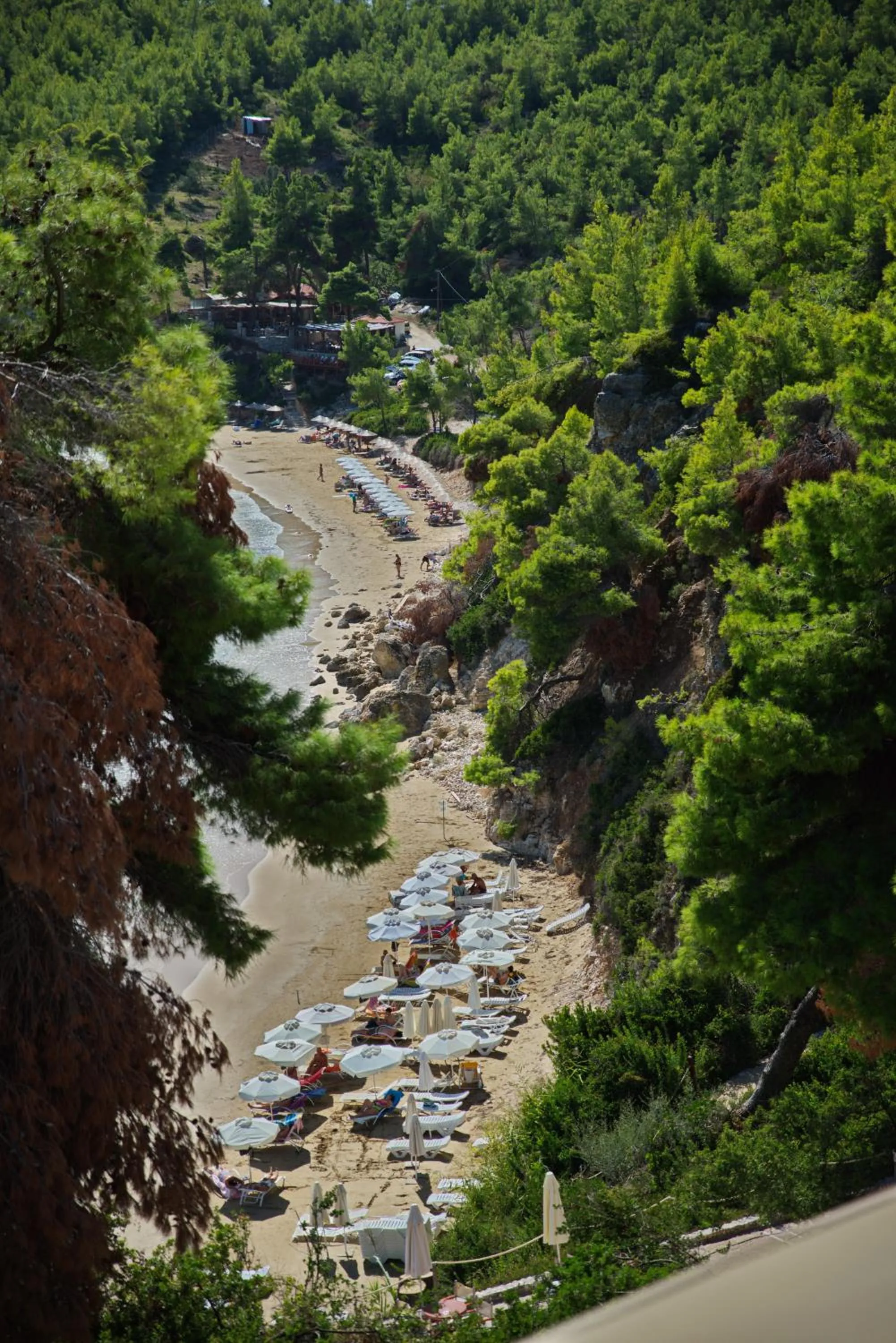Bird's eye view in Alonissos Beach Bungalows And Suites Hotel