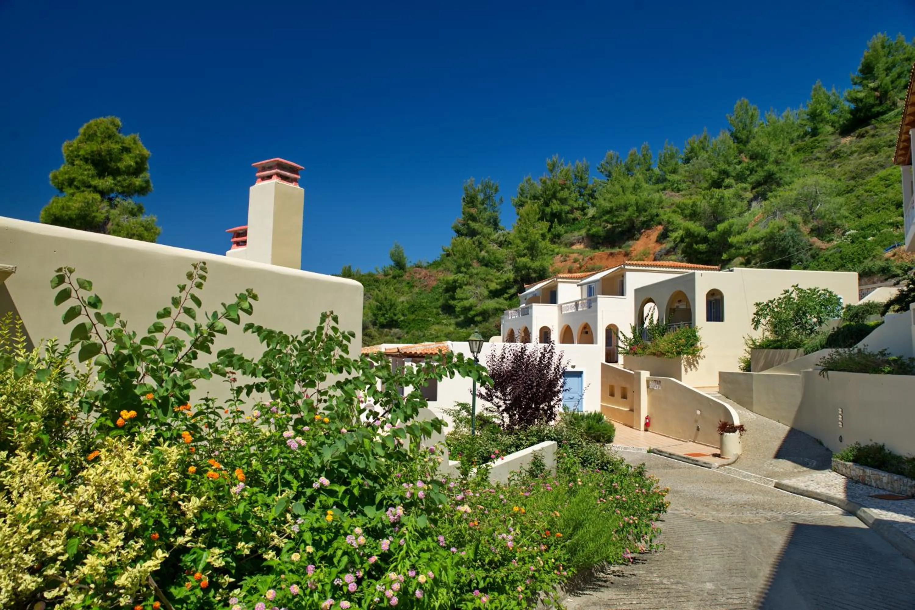 Property building in Alonissos Beach Bungalows And Suites Hotel