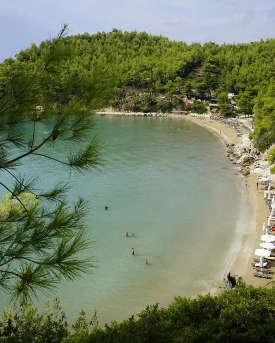 Sea view in Alonissos Beach Bungalows And Suites Hotel