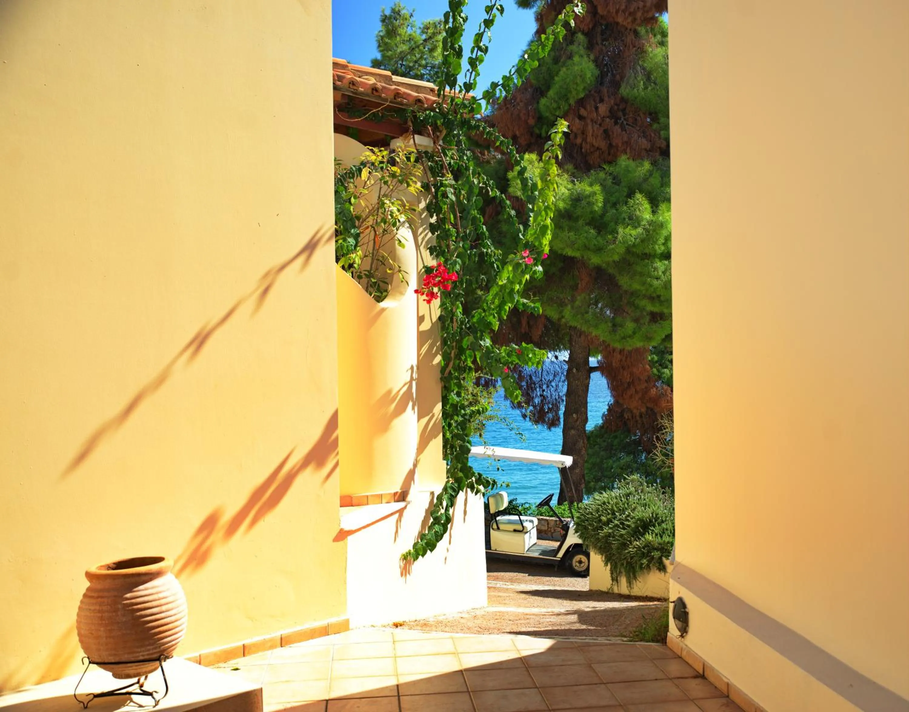 Garden view in Alonissos Beach Bungalows And Suites Hotel