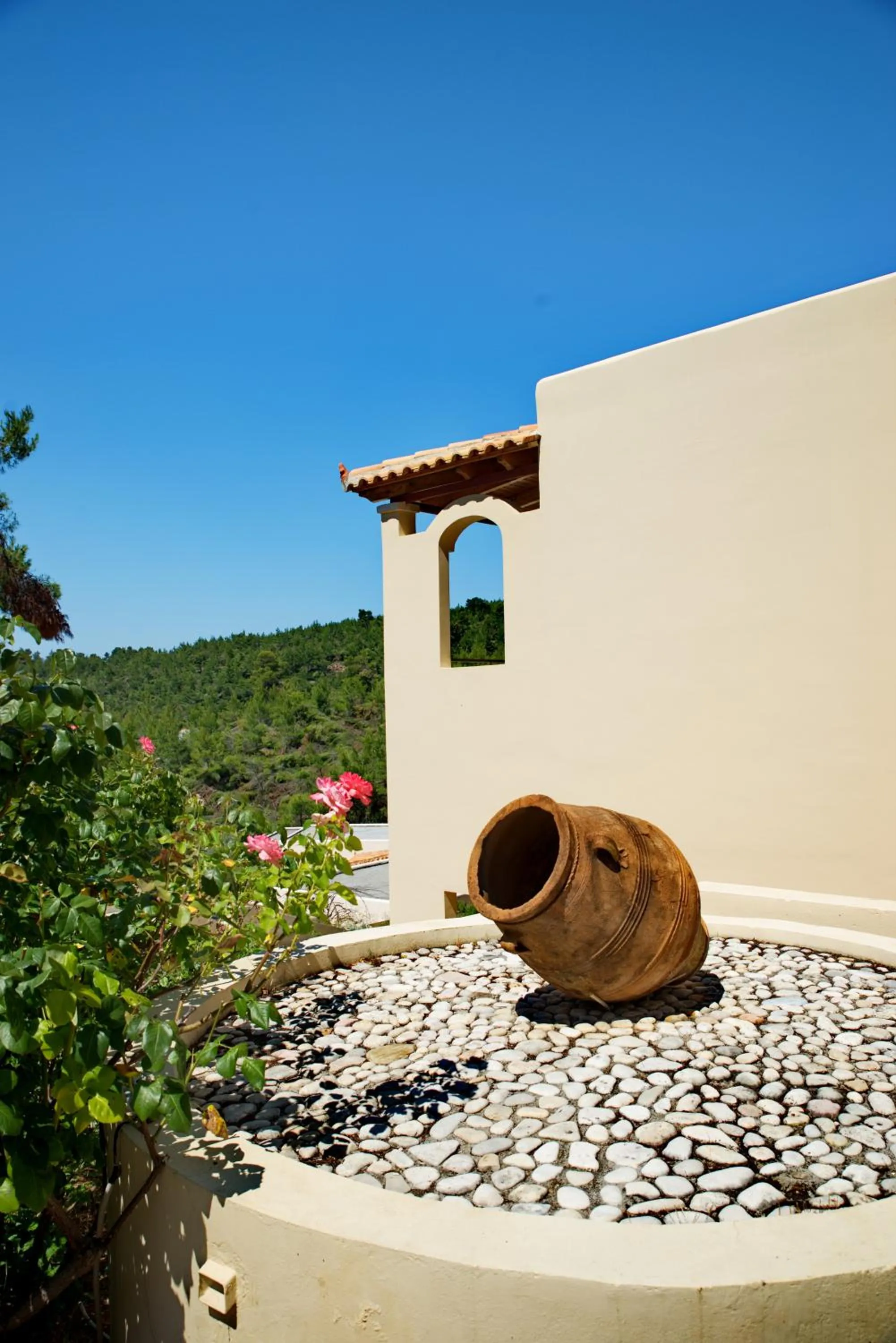 Garden view in Alonissos Beach Bungalows And Suites Hotel