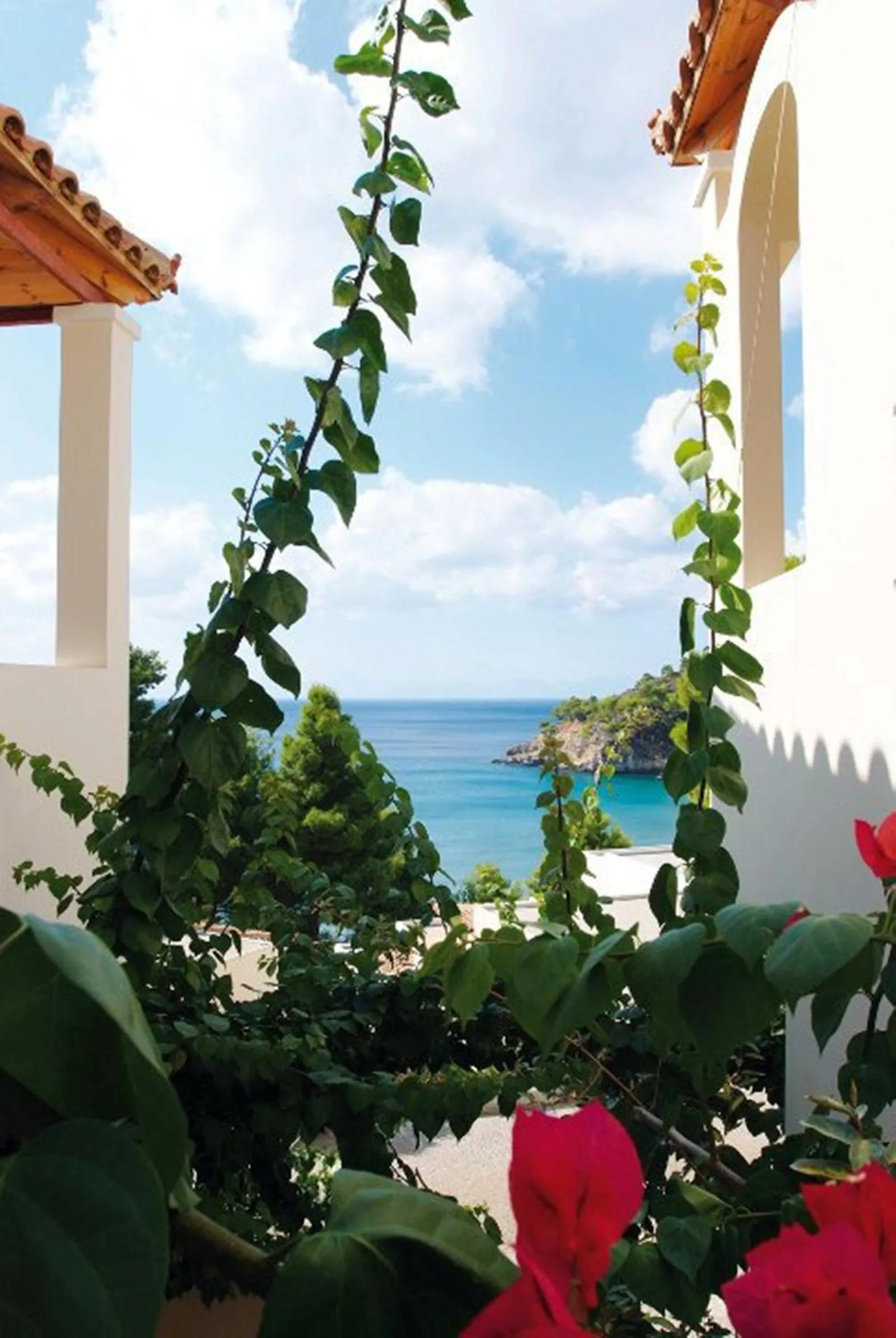 Garden in Alonissos Beach Bungalows And Suites Hotel