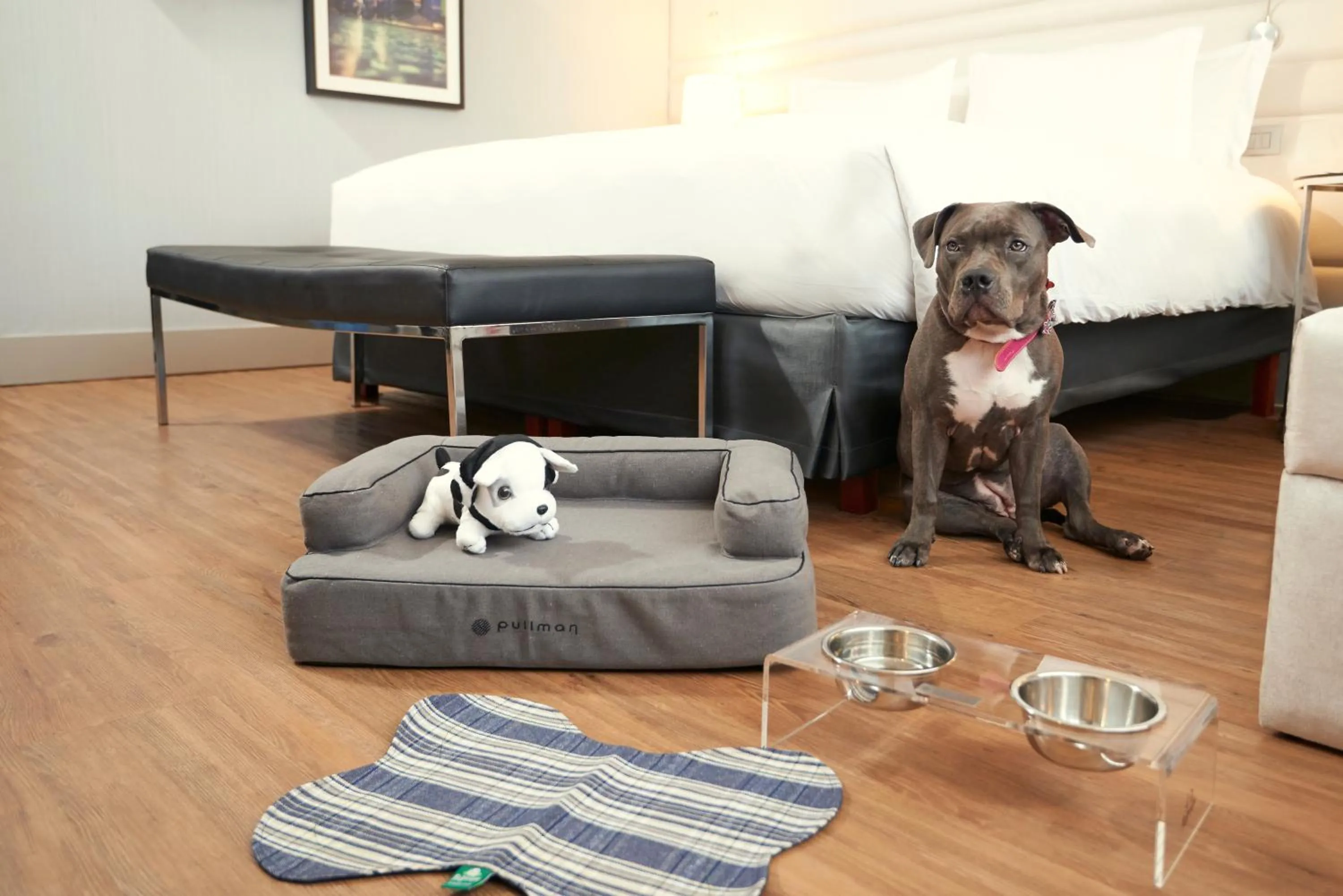 Animals in Pullman Sao Paulo Vila Olimpia