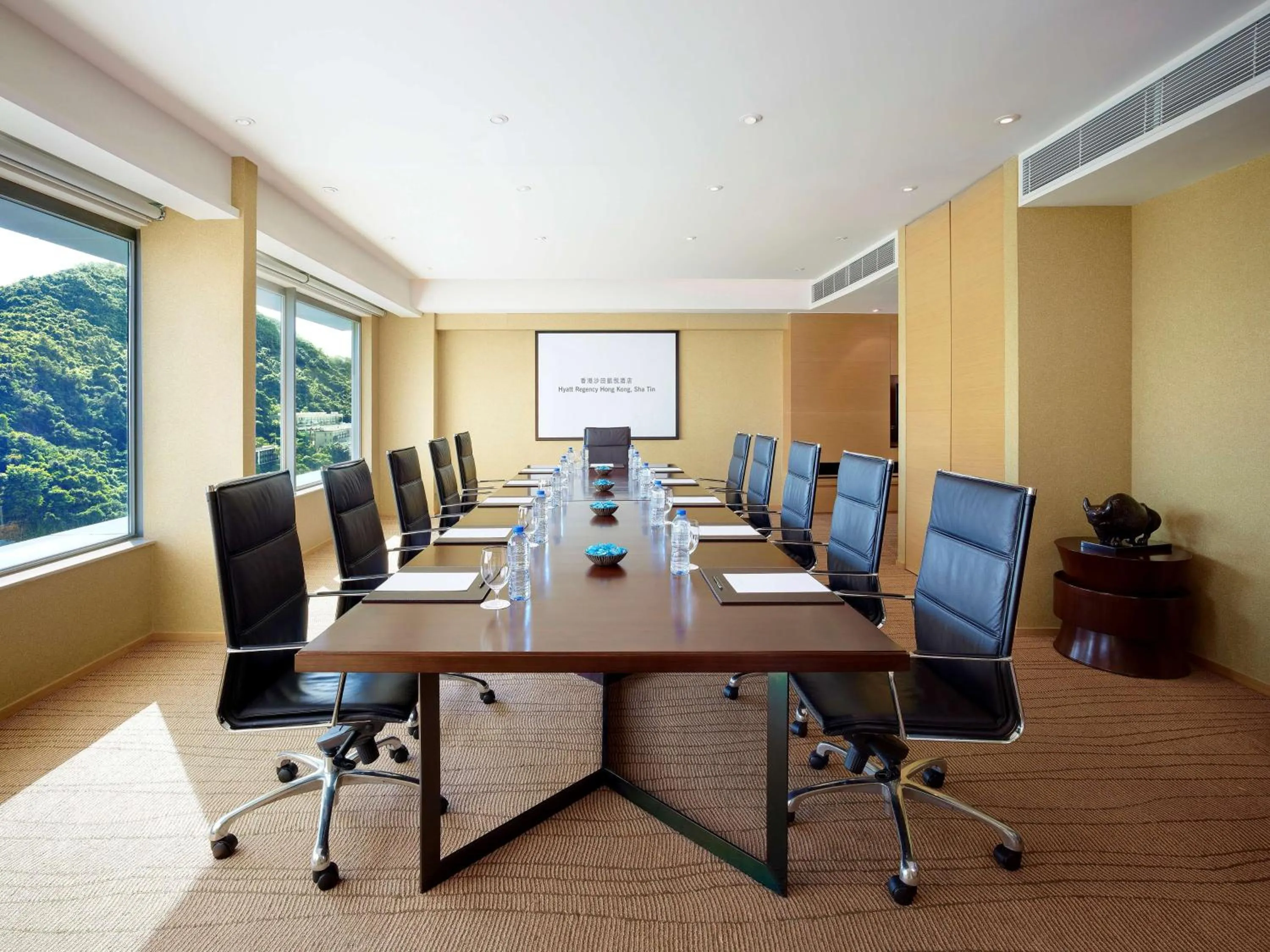 On site in Hyatt Regency Hong Kong, Sha Tin