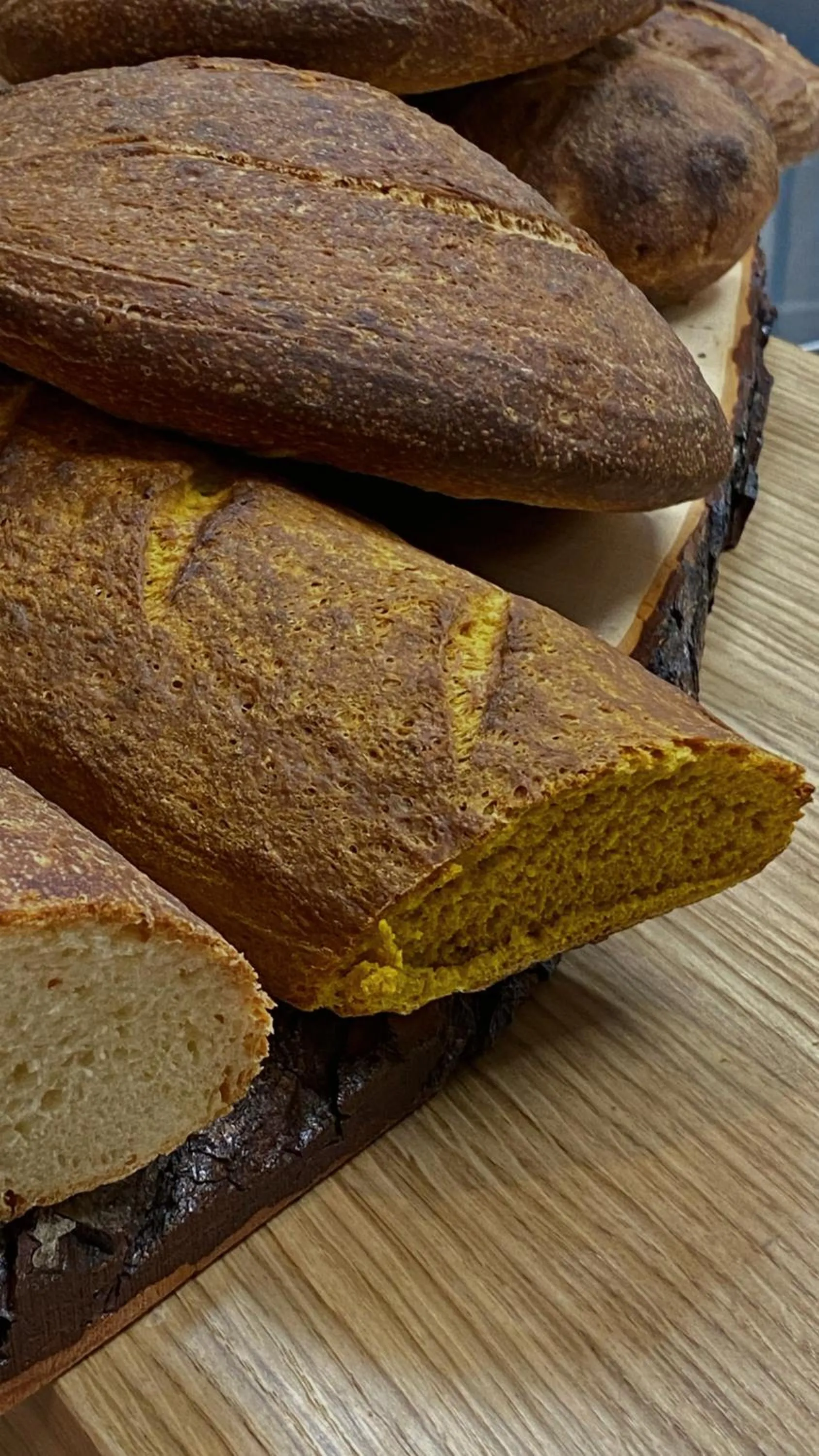 Villa Cavalletti Appartamenti