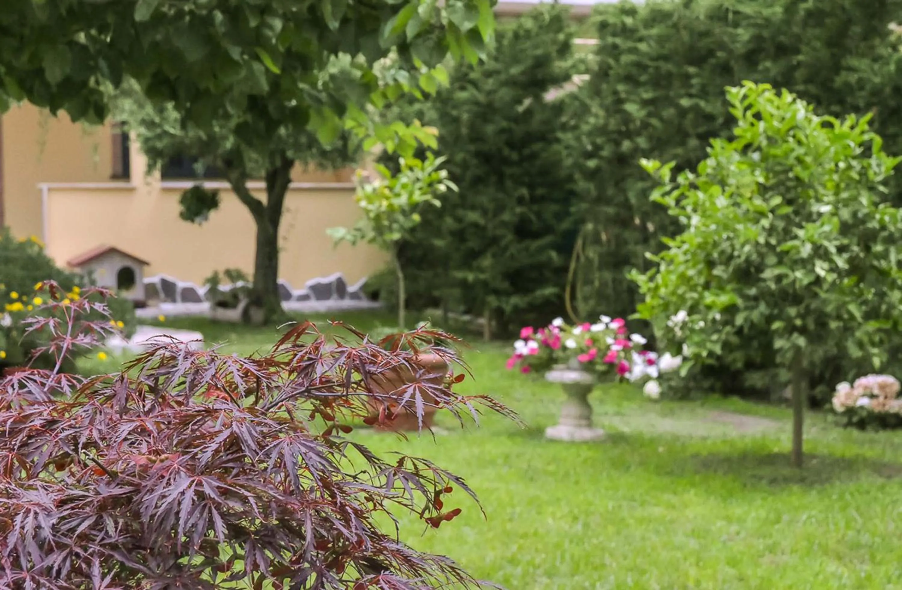 Garden in A Casa di Titty