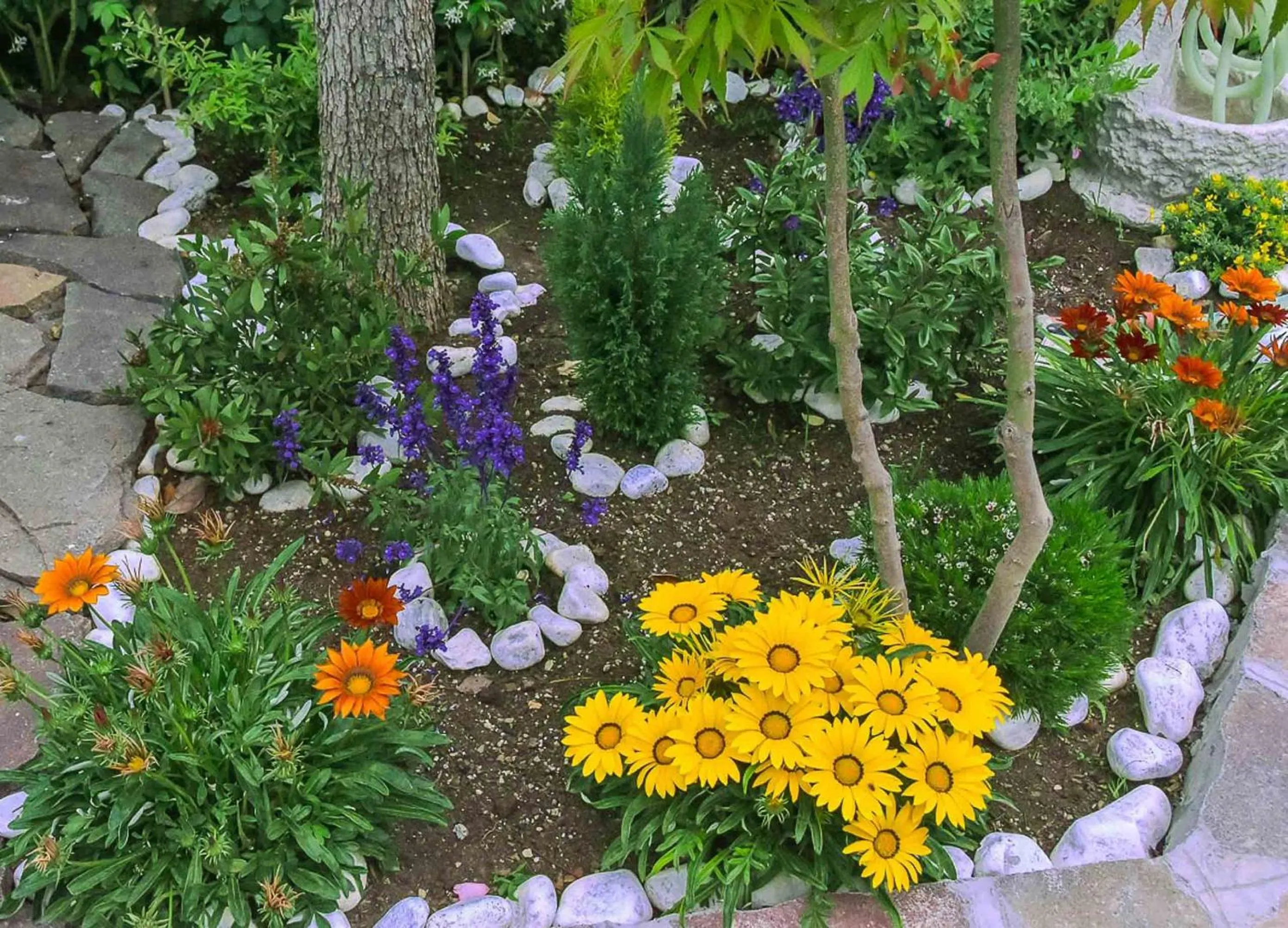 Garden in A Casa di Titty
