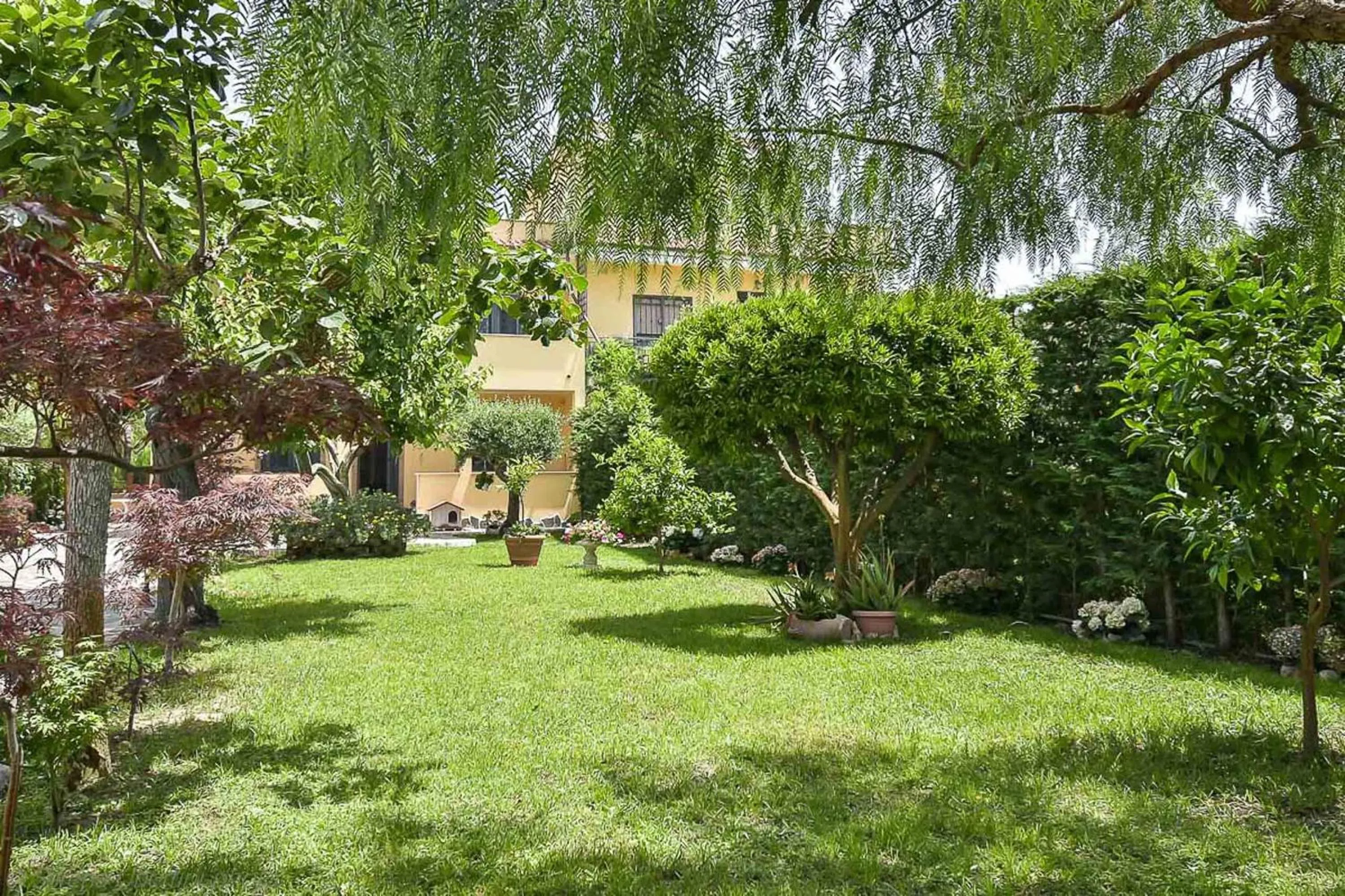 Garden in A Casa di Titty