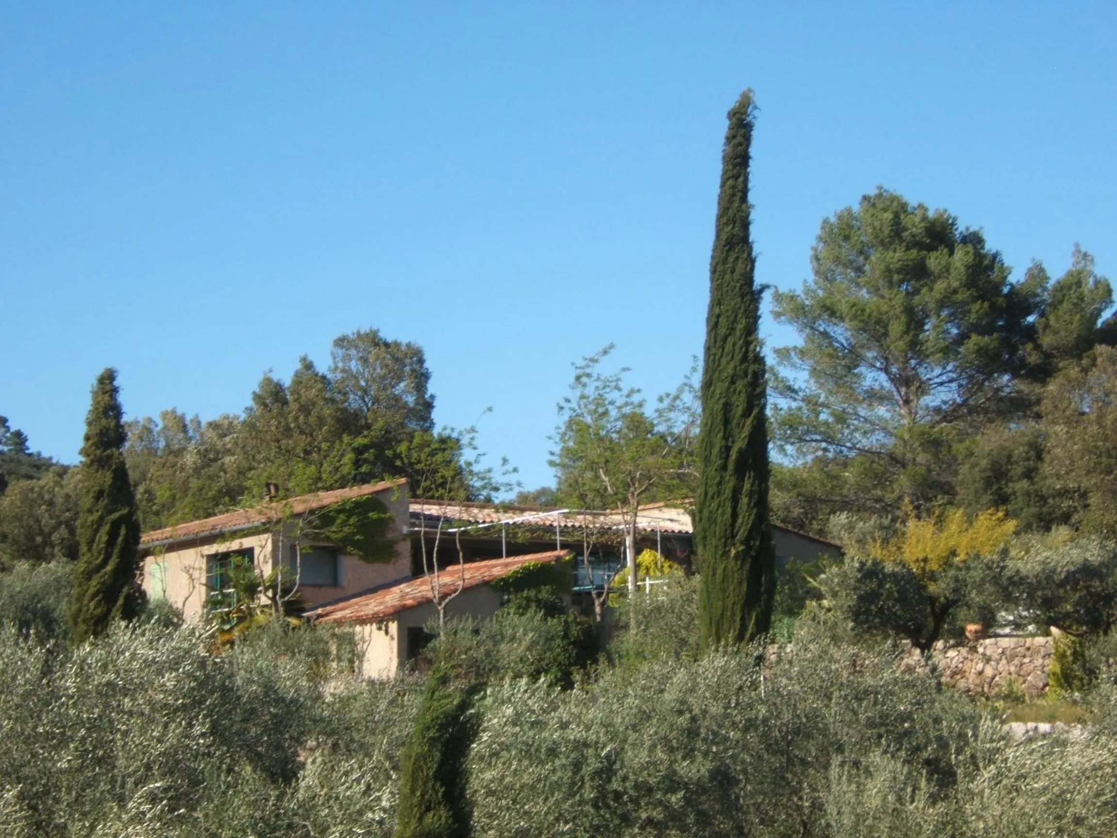 Natural landscape in La Radassière
