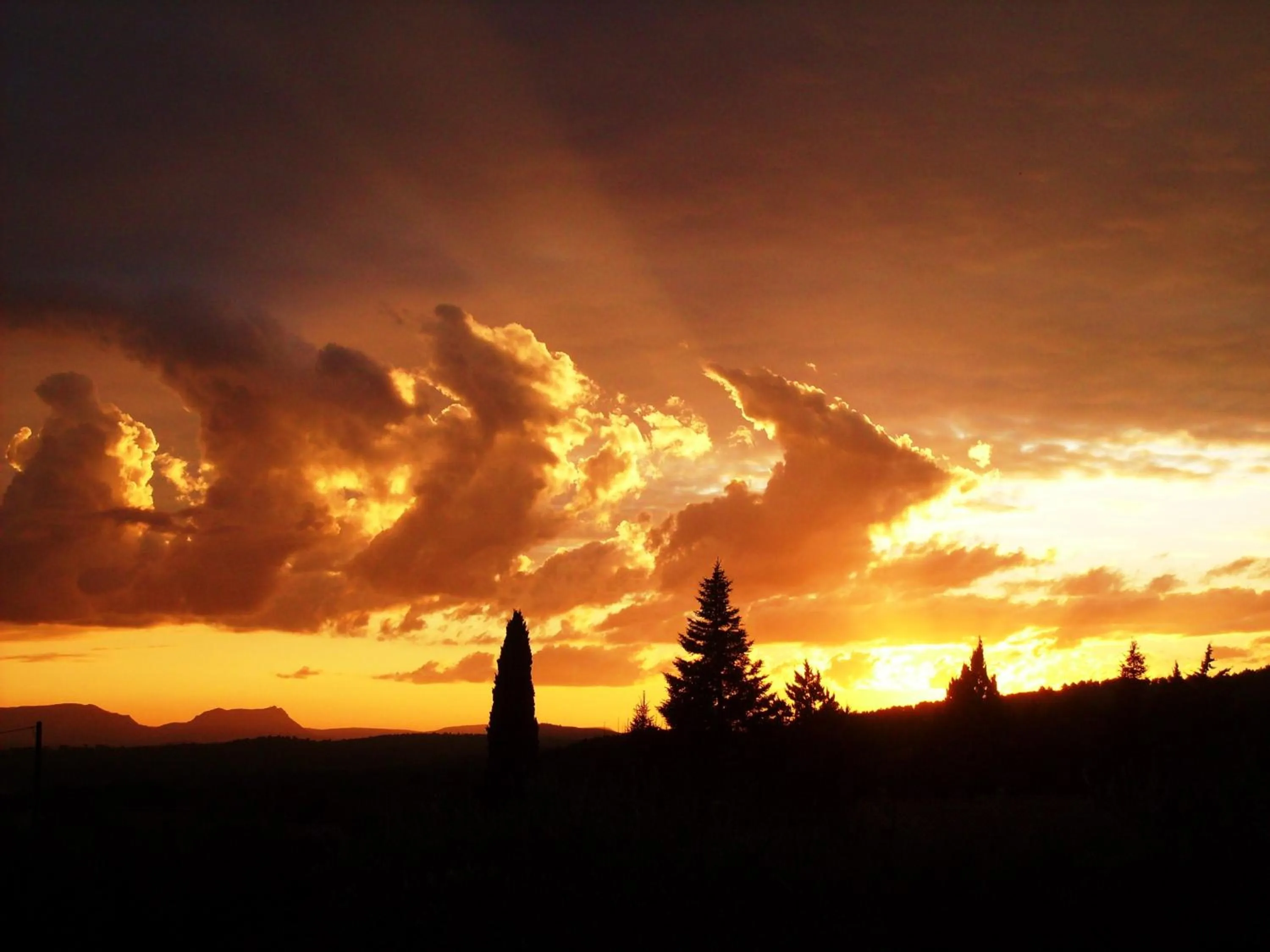 Natural landscape in La Radassière