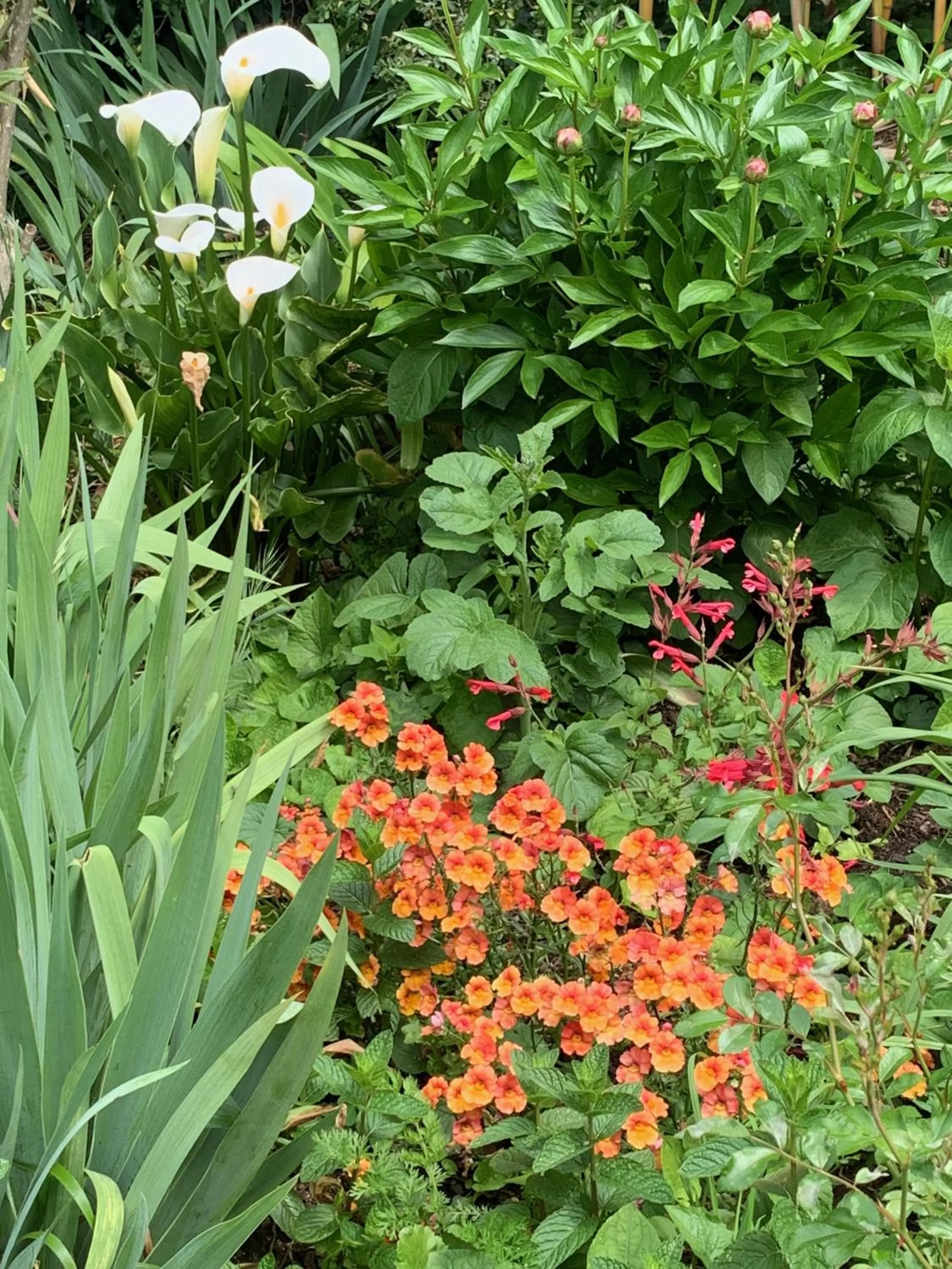 Un temps pour le rêve