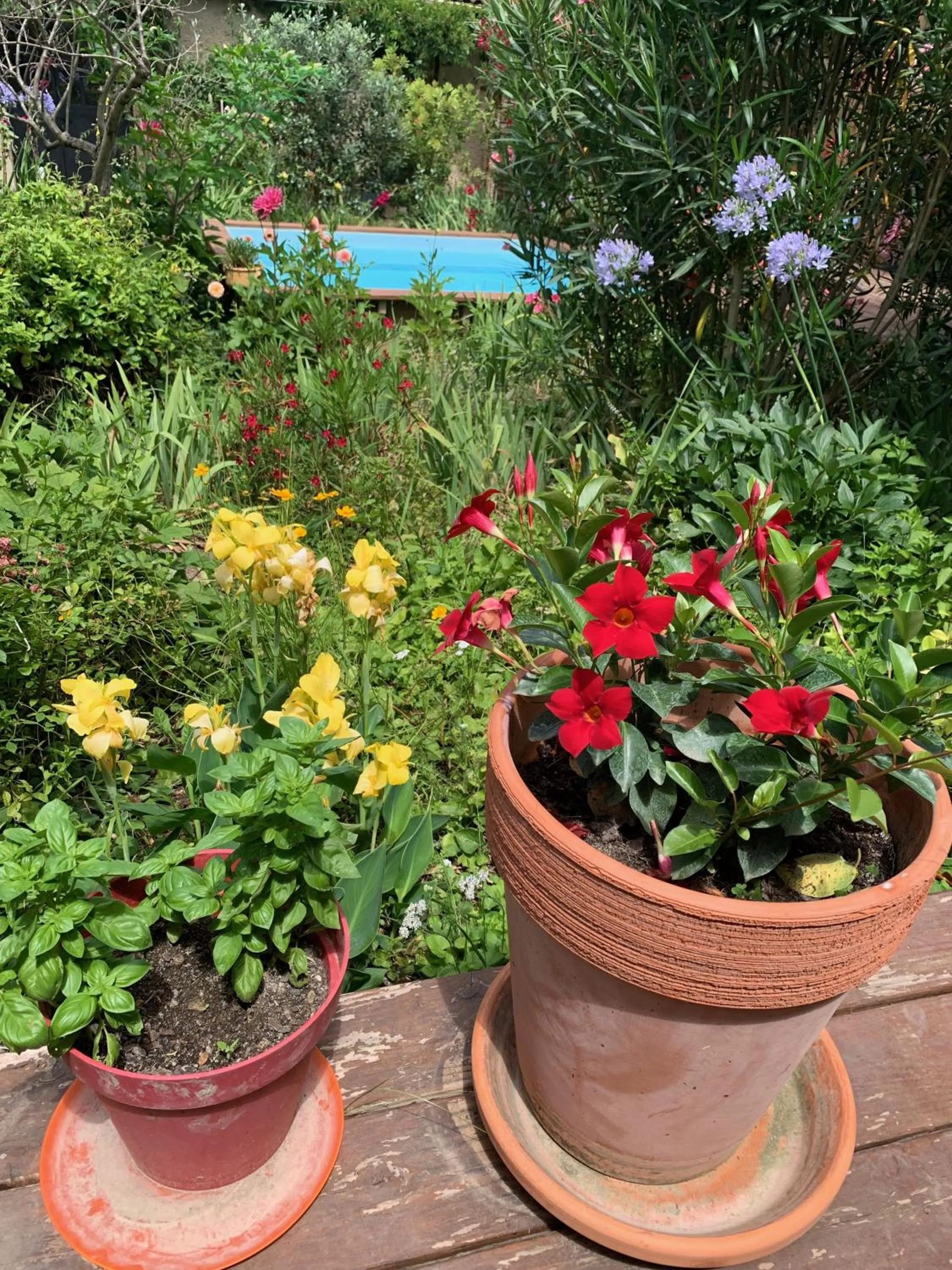 Un temps pour le rêve