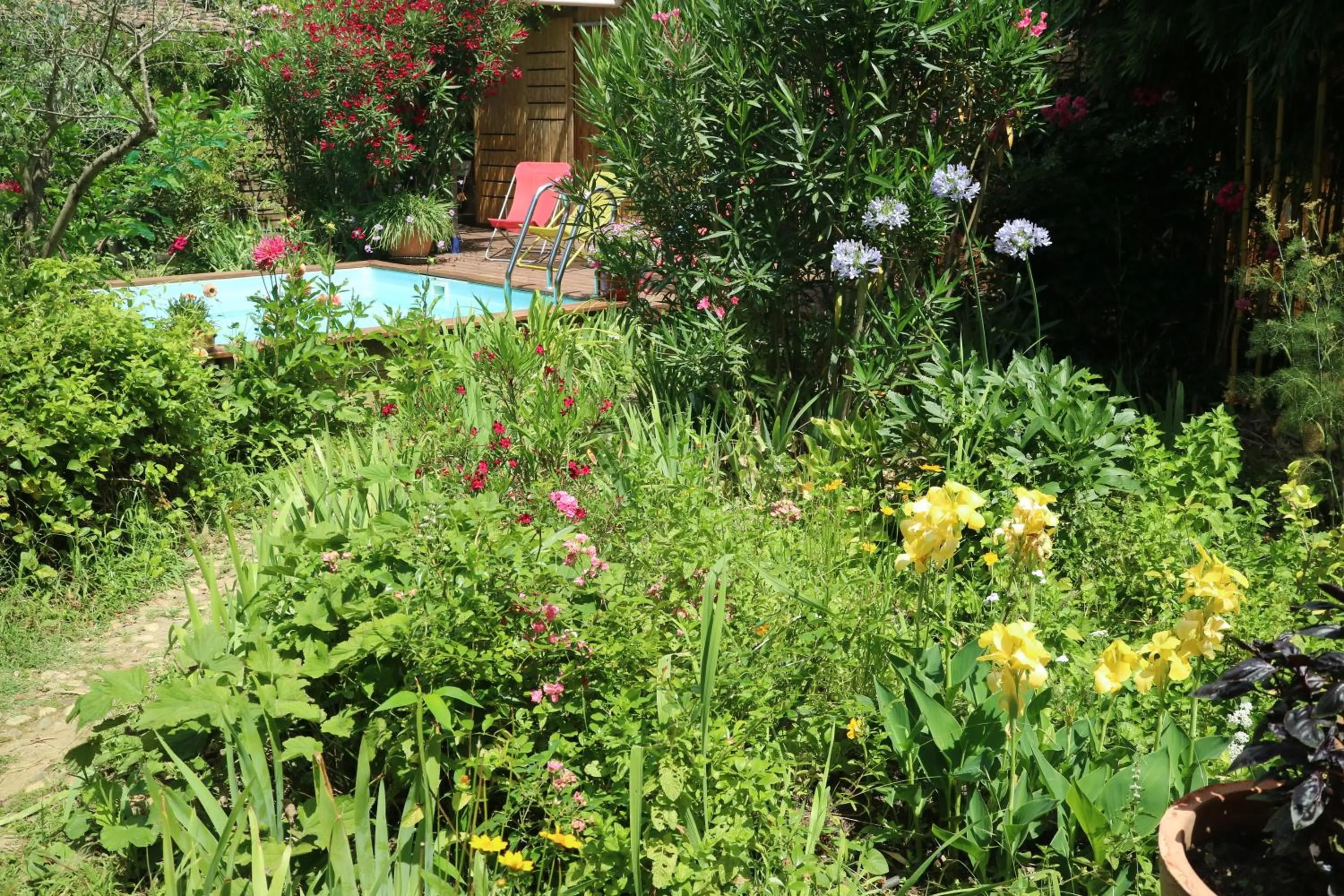 Un temps pour le rêve