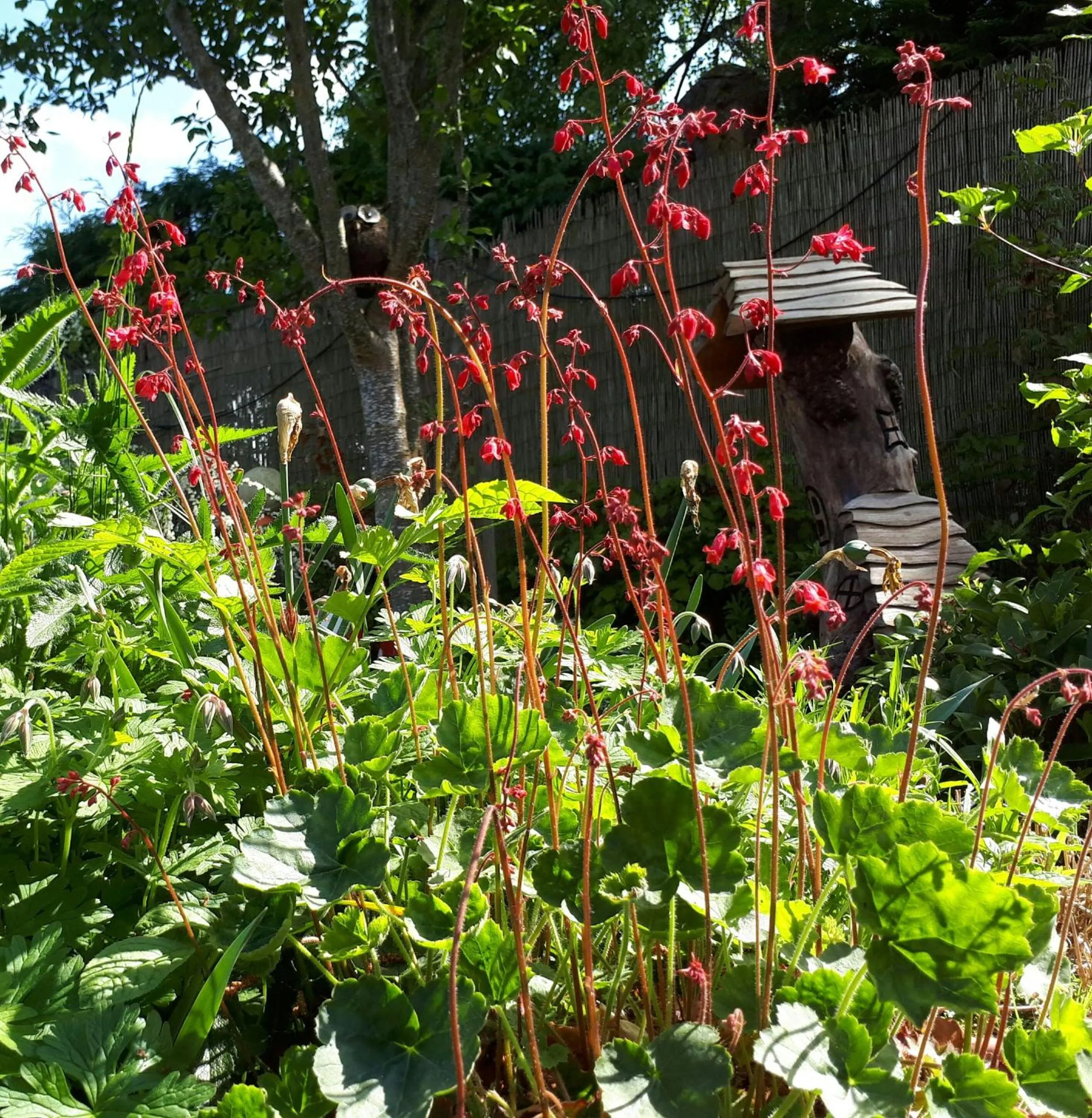 Spring in Lycia Rooms +