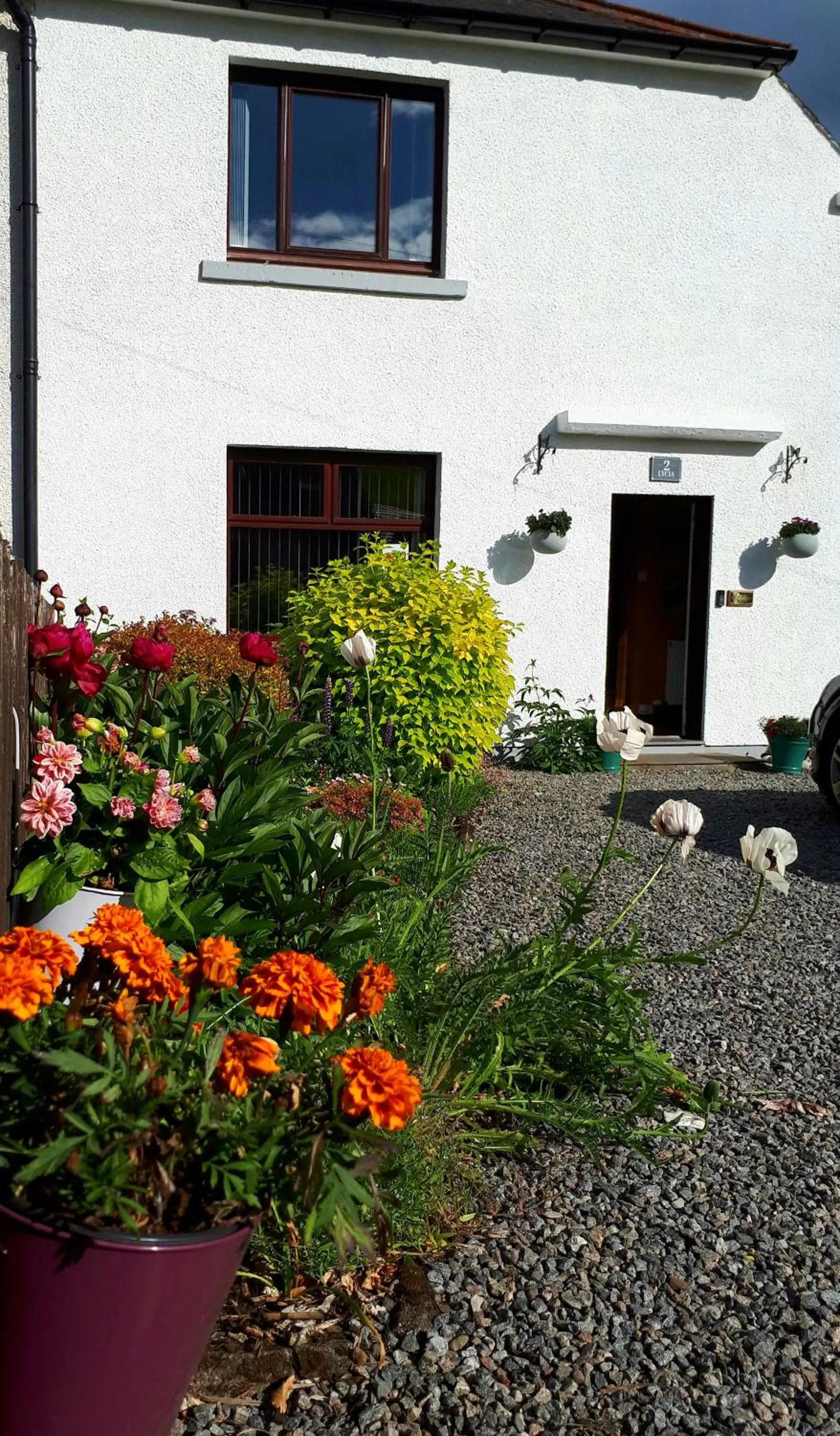 Property building in Lycia Rooms +