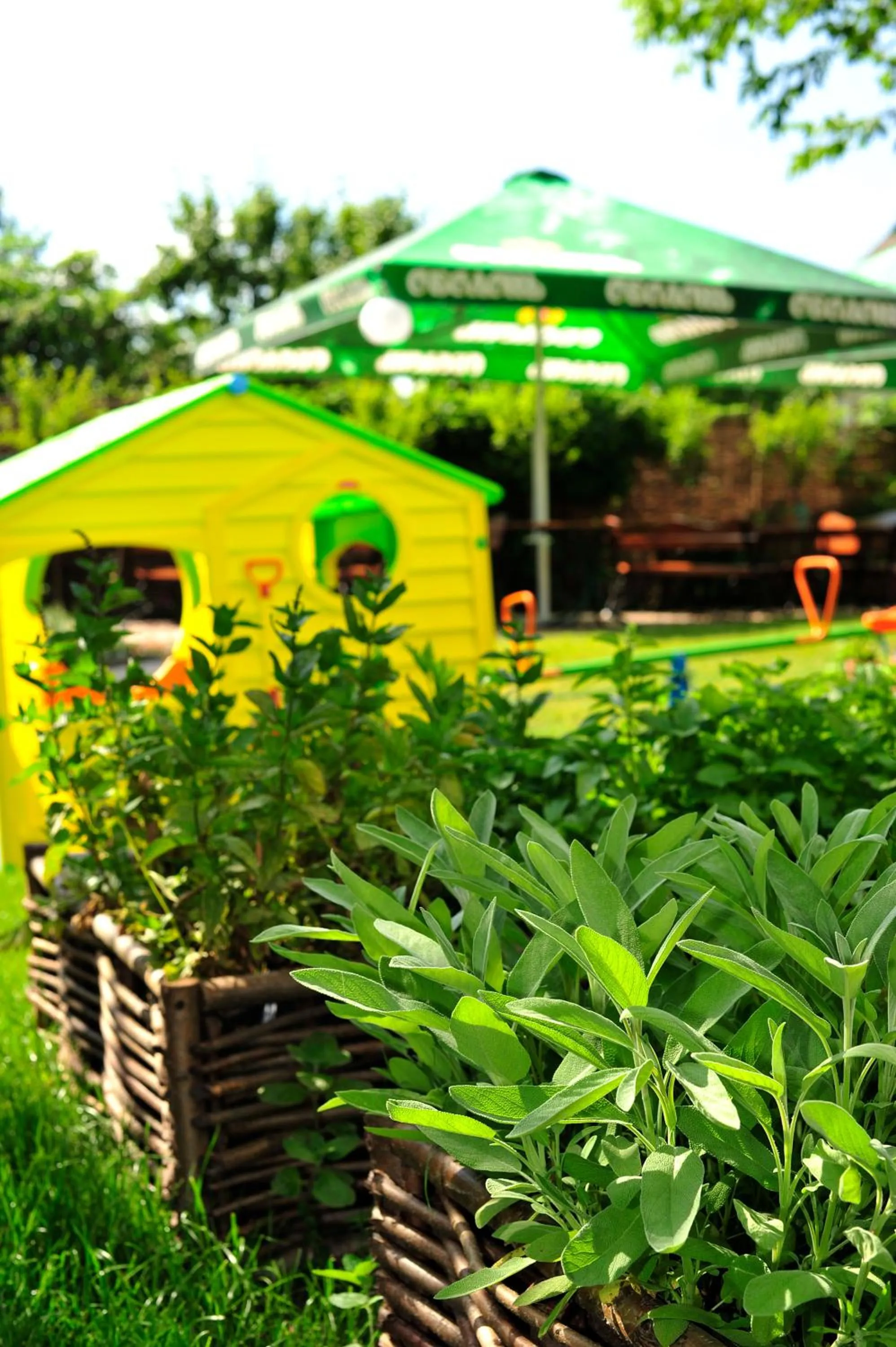 Garden in Stoczek 1929