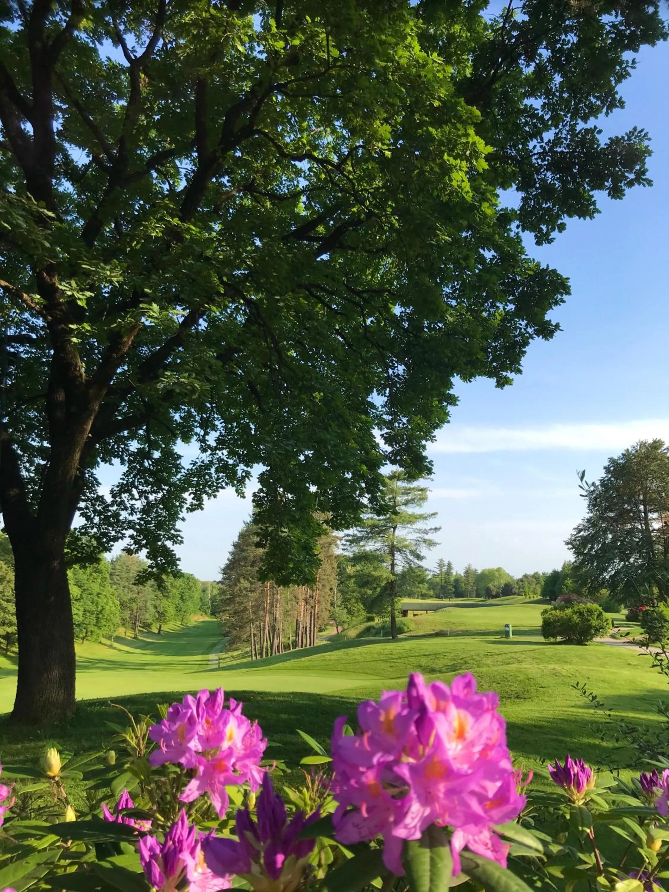 Spring in Golf Hotel La Pinetina