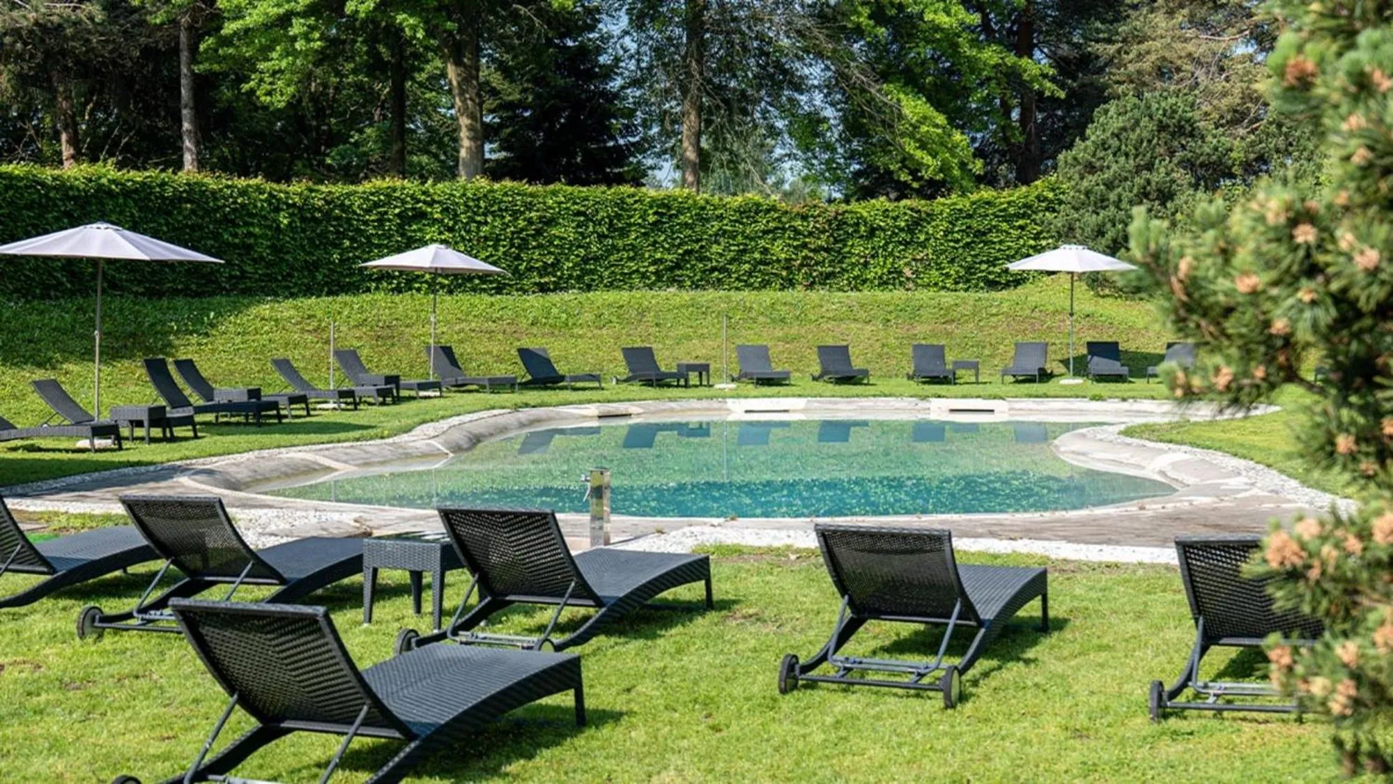 Garden view in Golf Hotel La Pinetina