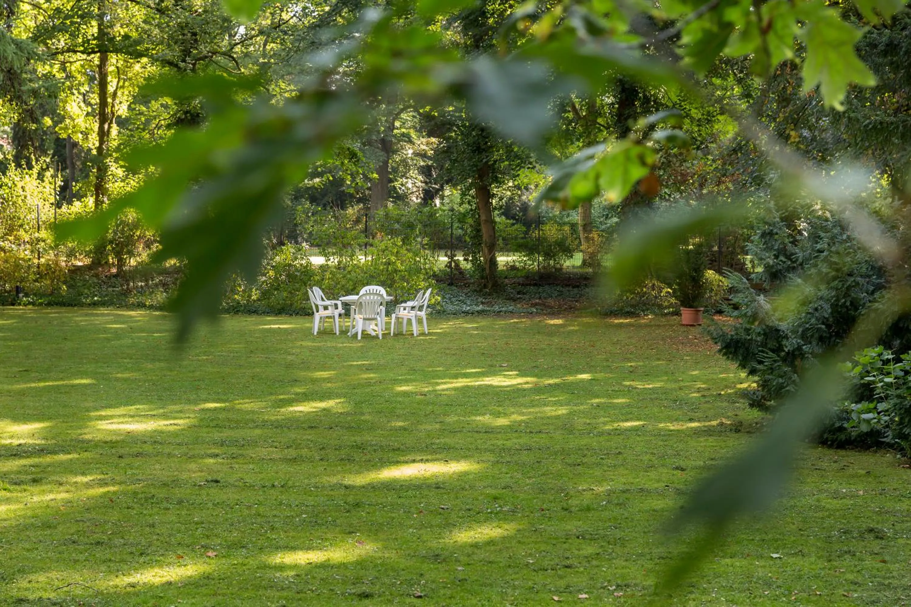 Garden in Europäische Akademie Berlin