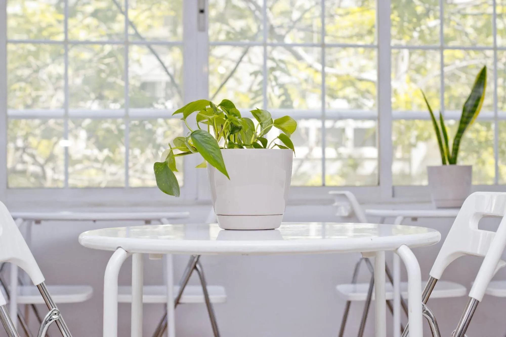 Barcelona City Seven Hostal