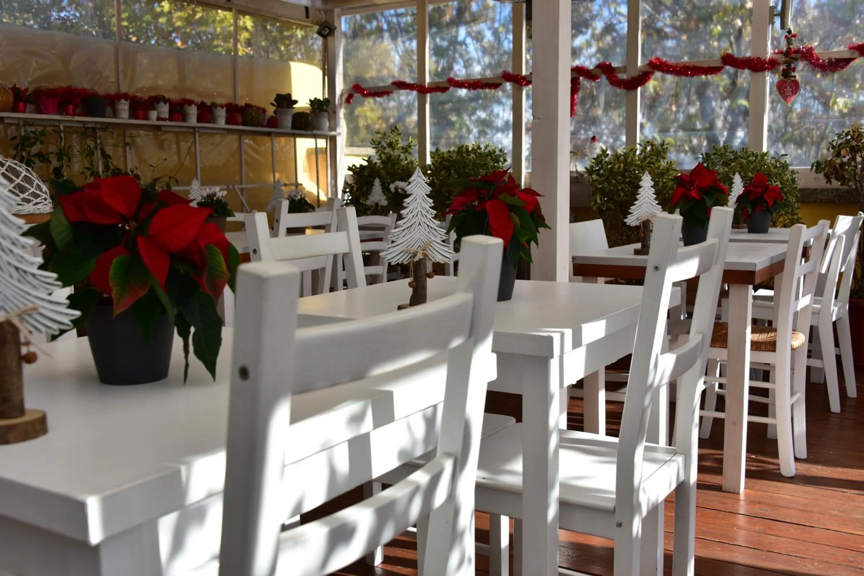 Balcony/Terrace in Casa Martini