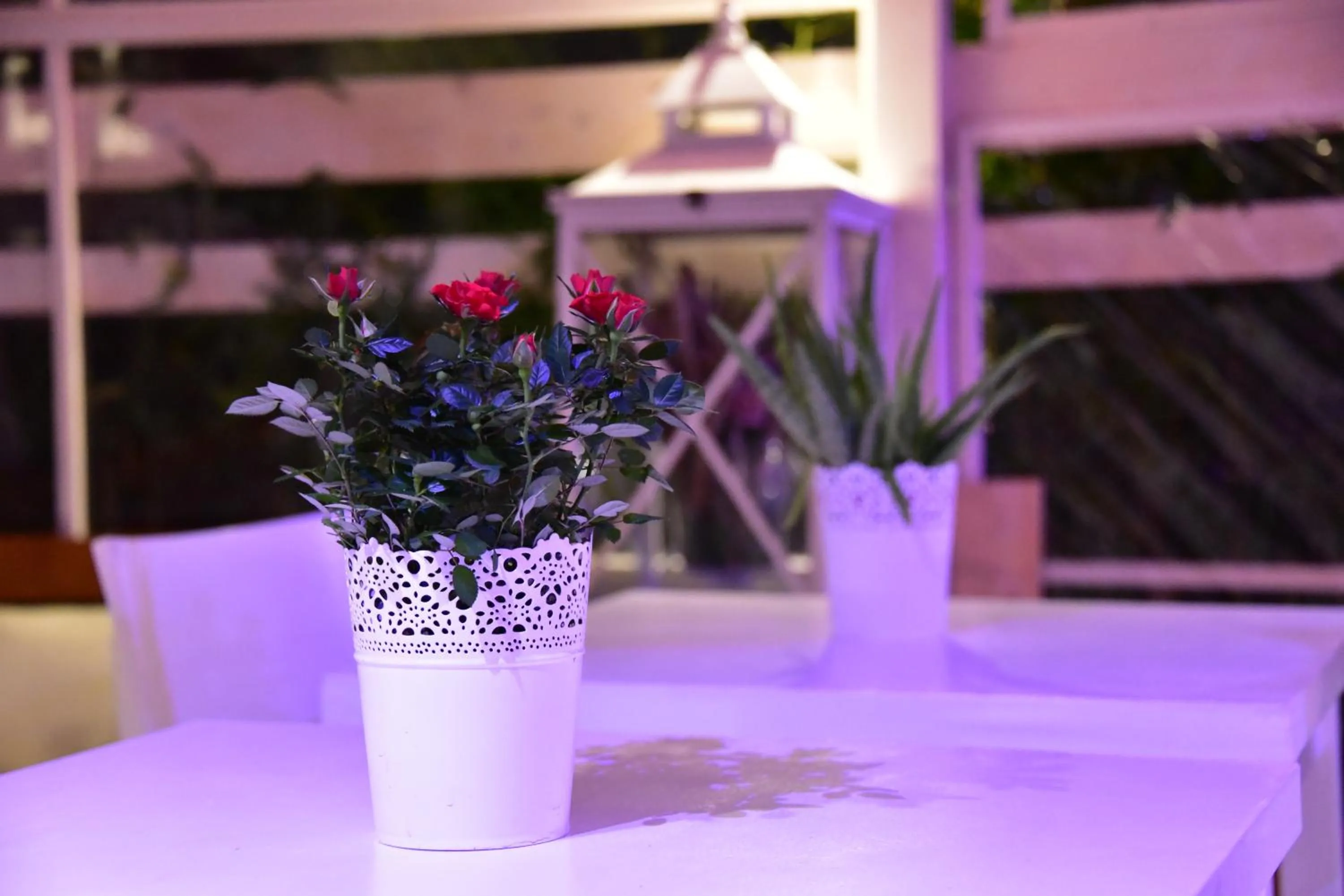 Balcony/Terrace in Casa Martini