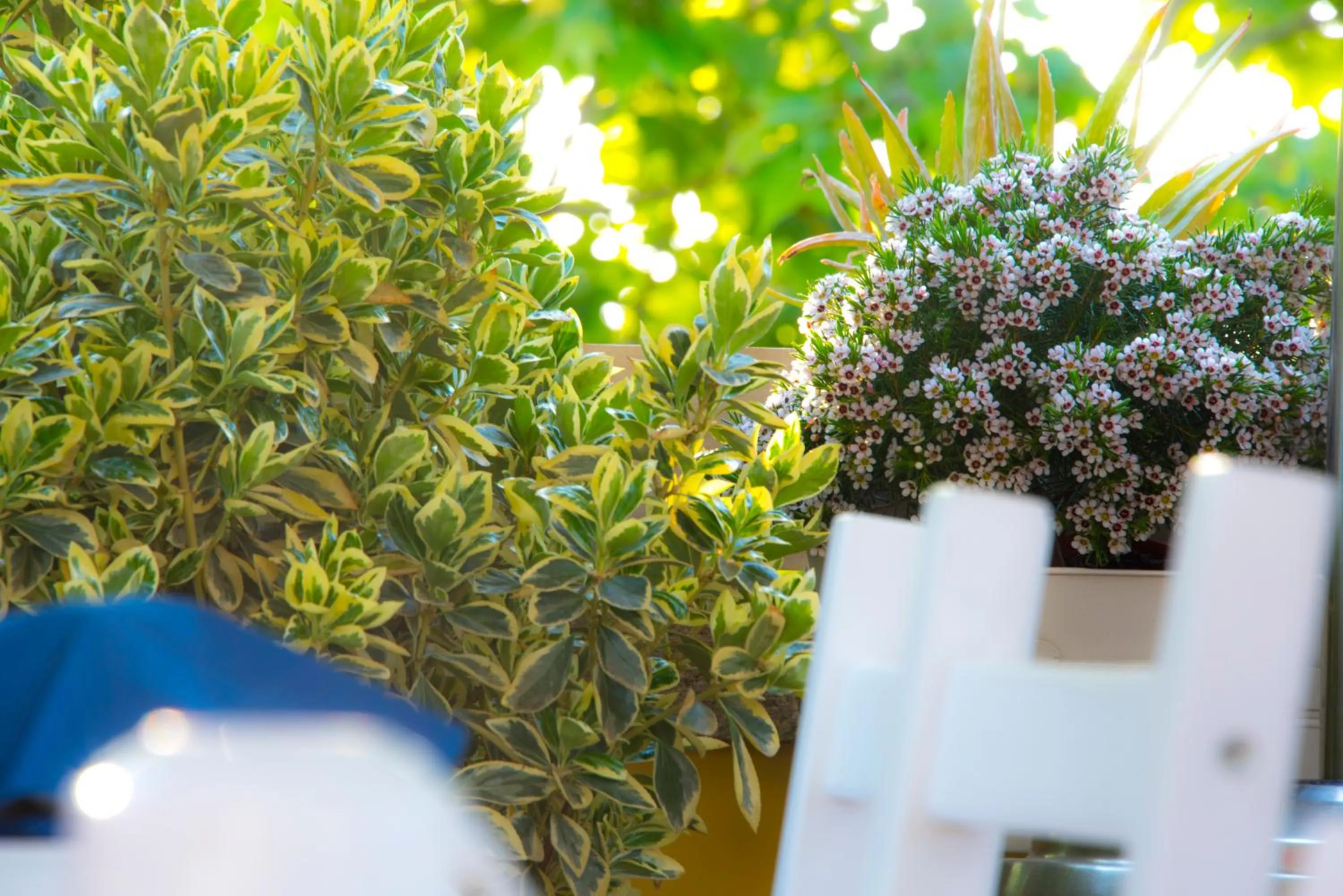 Balcony/Terrace in Casa Martini