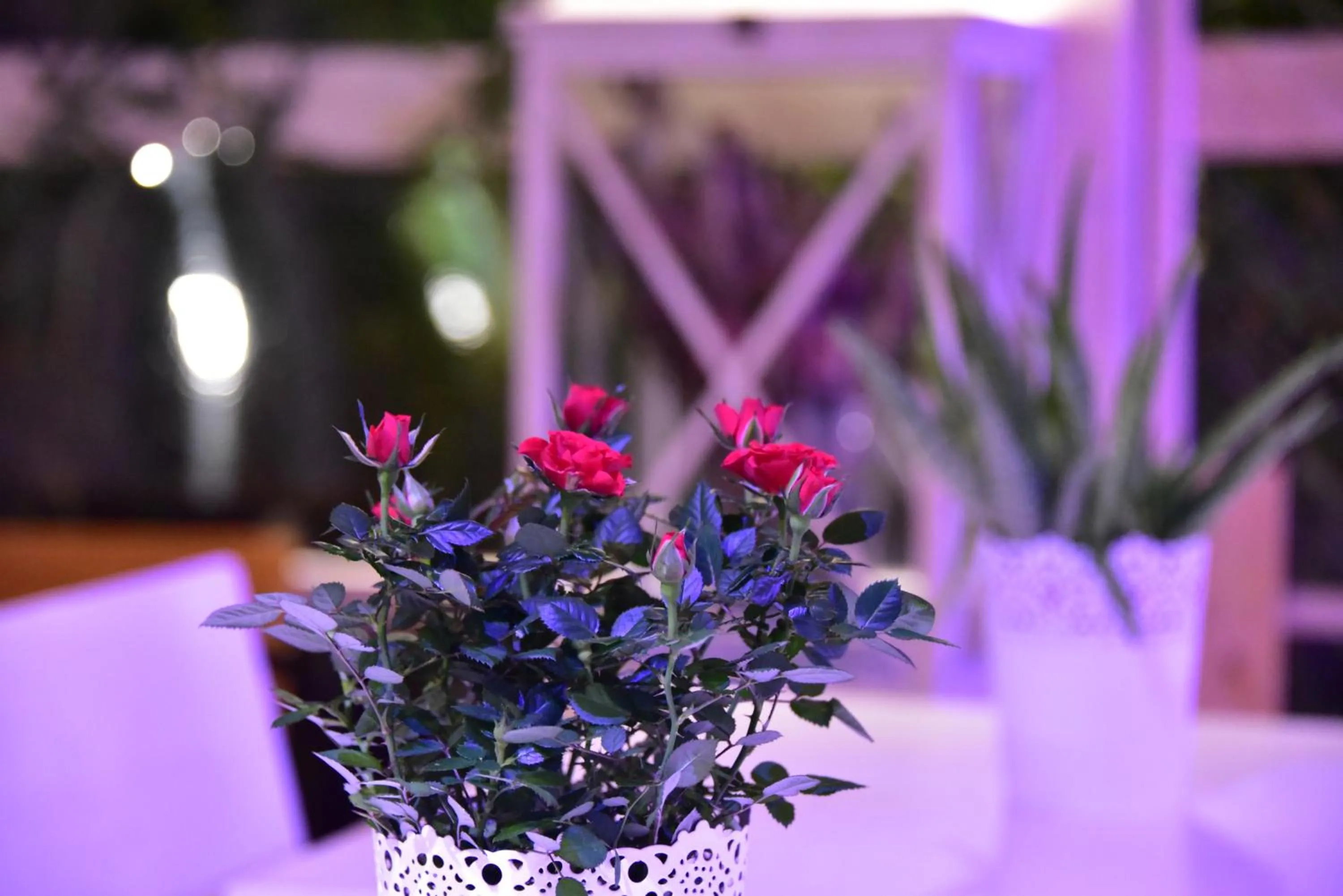 Balcony/Terrace in Casa Martini