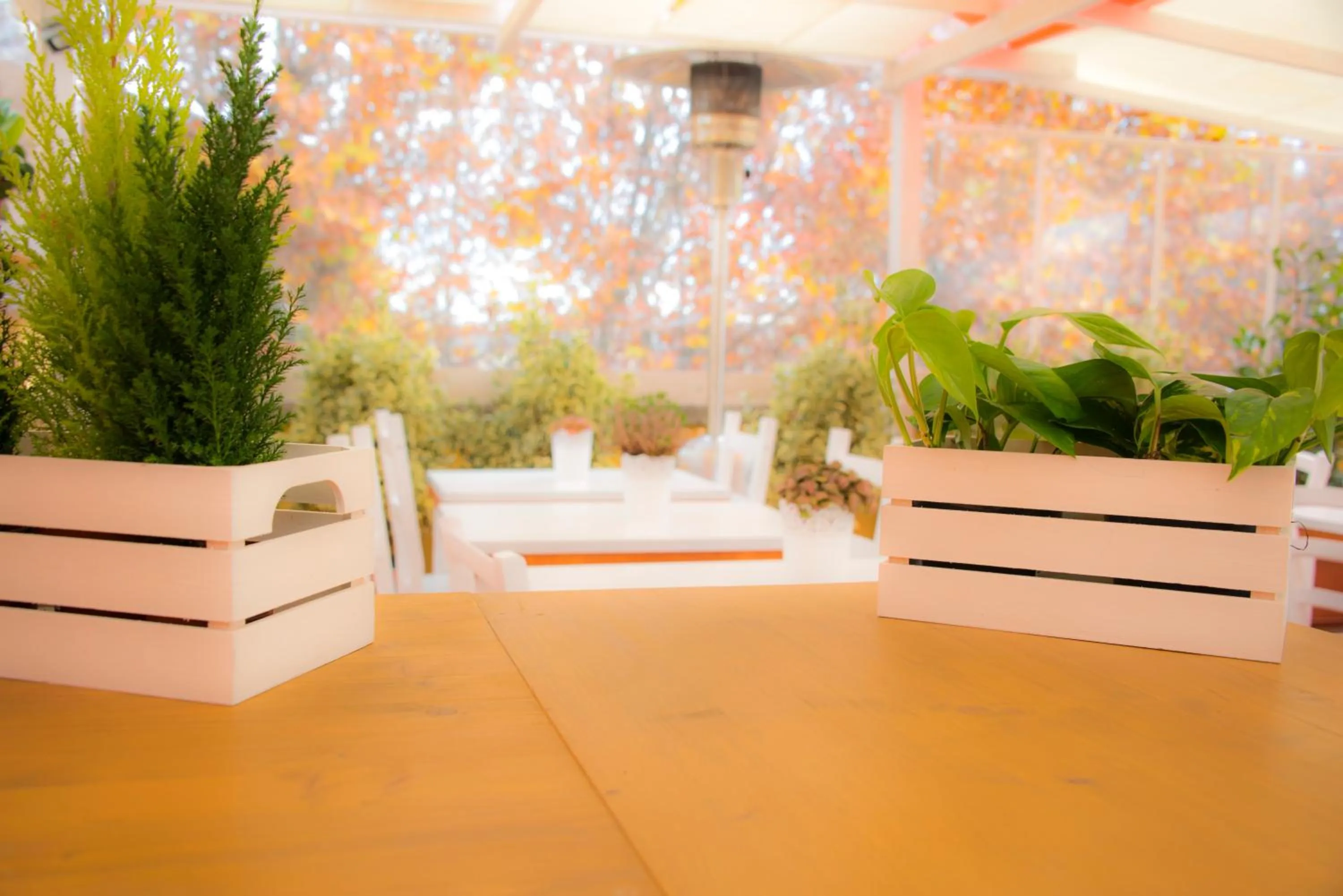 Balcony/Terrace in Casa Martini